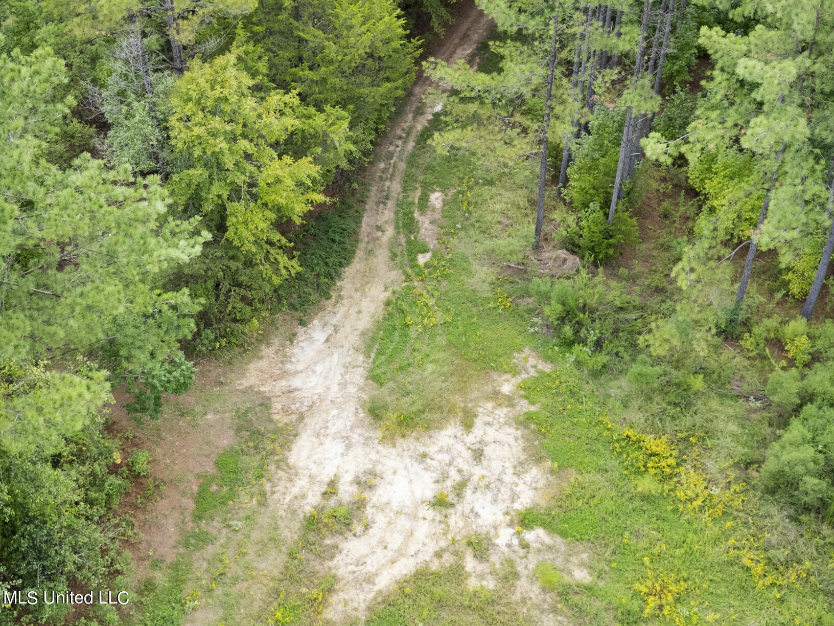 14640 Dry Grove Road Raymond, MS 39154 - Photo 52 of 52 Another view of left access road