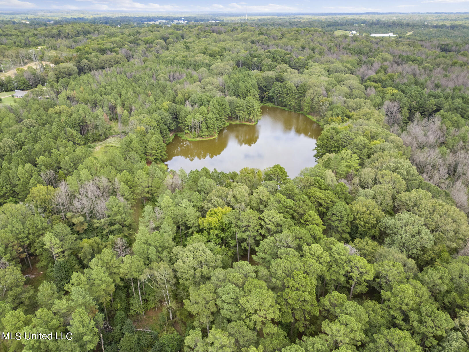 14640 Dry Grove Road Raymond, MS 39154 - Photo 6 of 52 14640 Dry Grove Pond 1