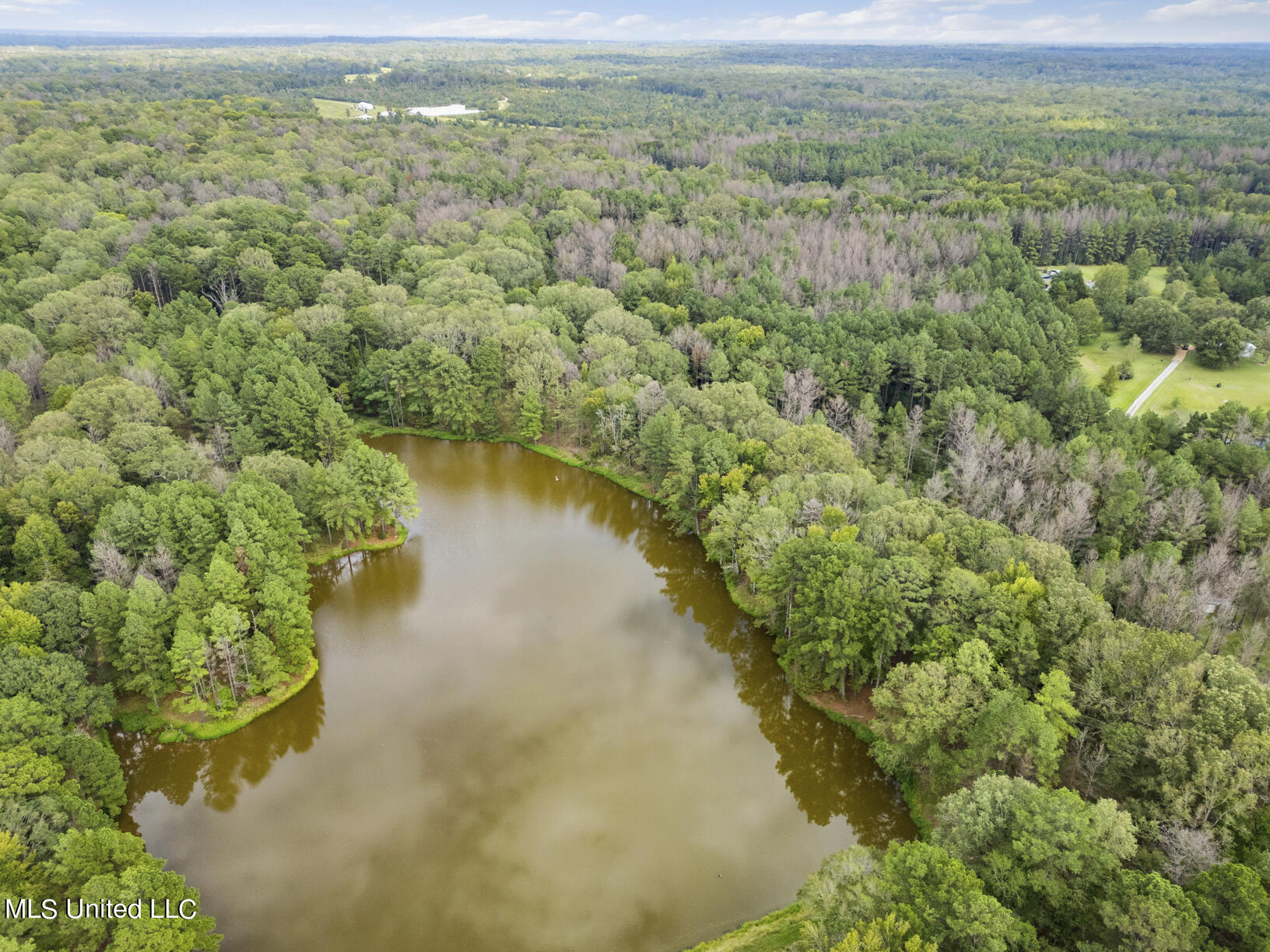 14640 Dry Grove Road Raymond, MS 39154 - Photo 7 of 52 14640 Dry Grove Pond