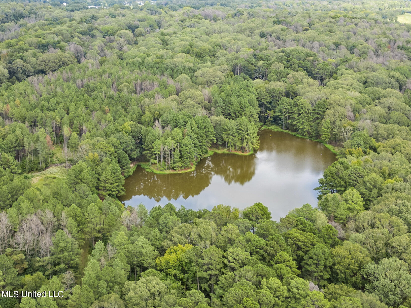 14640 Dry Grove Road Raymond, MS 39154 - Photo 8 of 52 14640 Dry Grove Pond