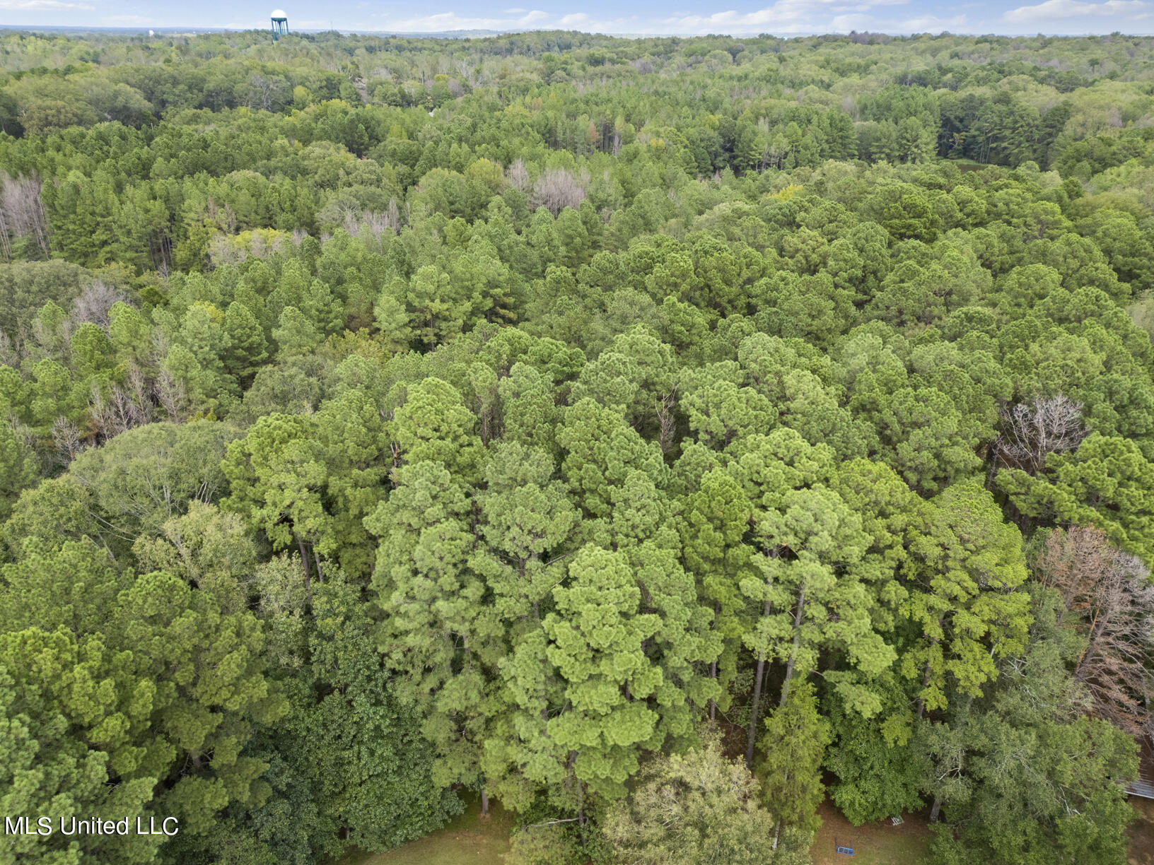 14640 Dry Grove Road Raymond, MS 39154 - Photo 10 of 52 14640 Dry Grove