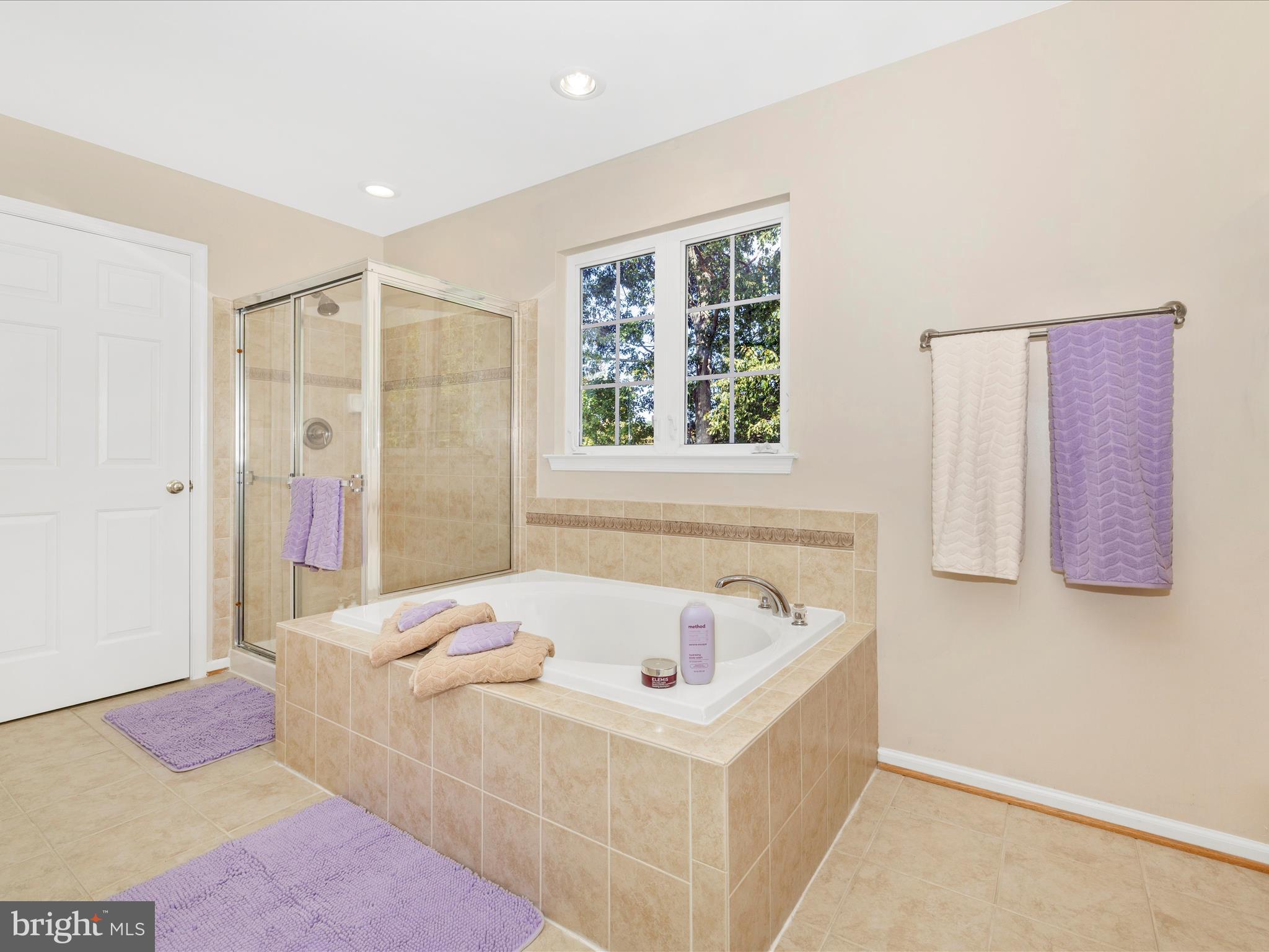 11046 Country Club Road New Market, MD 21774 - Photo 33 of 105 a bathroom with a tub sink and a mirror