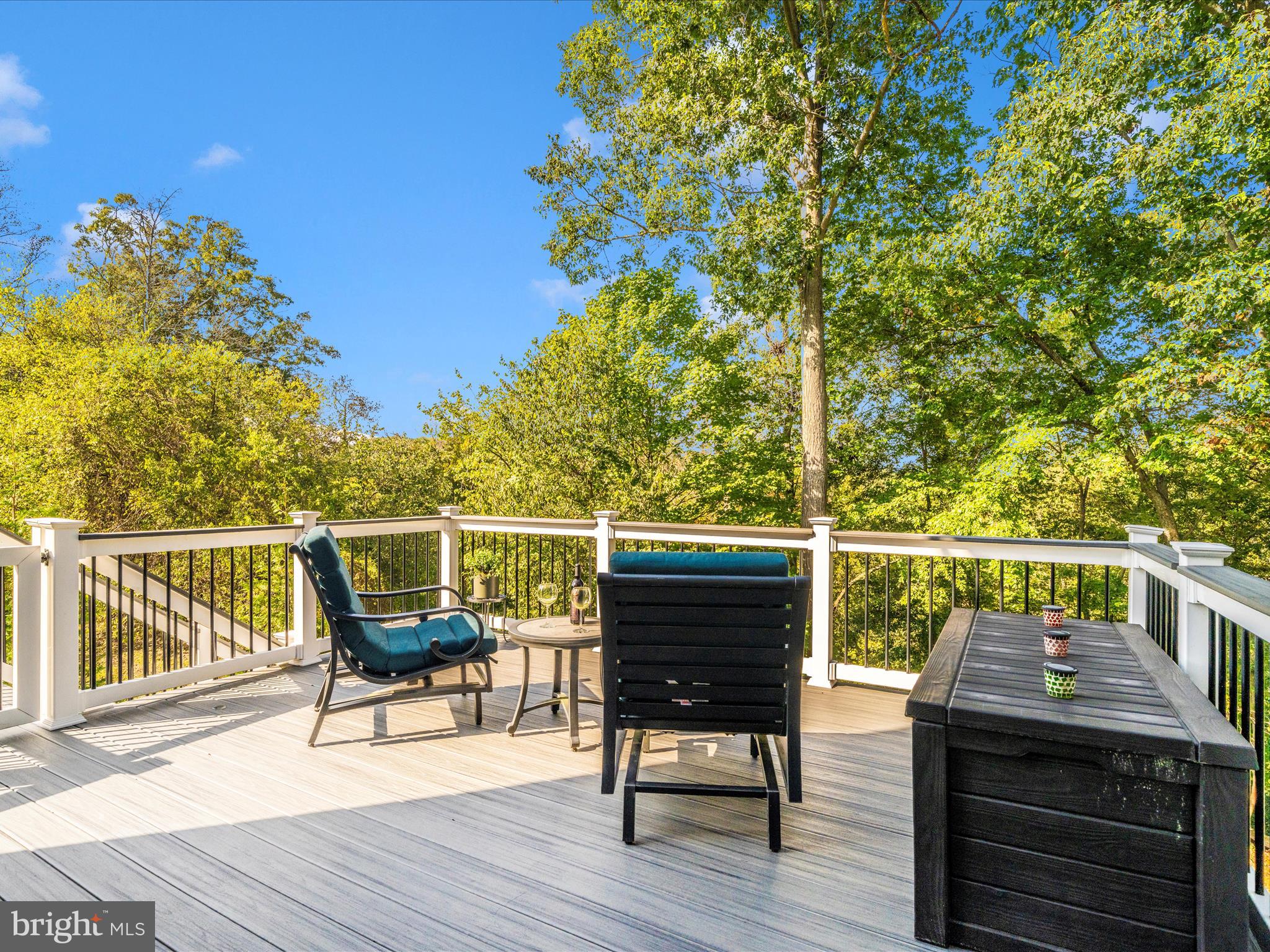 11046 Country Club Road New Market, MD 21774 - Photo 71 of 105 Exterior Back