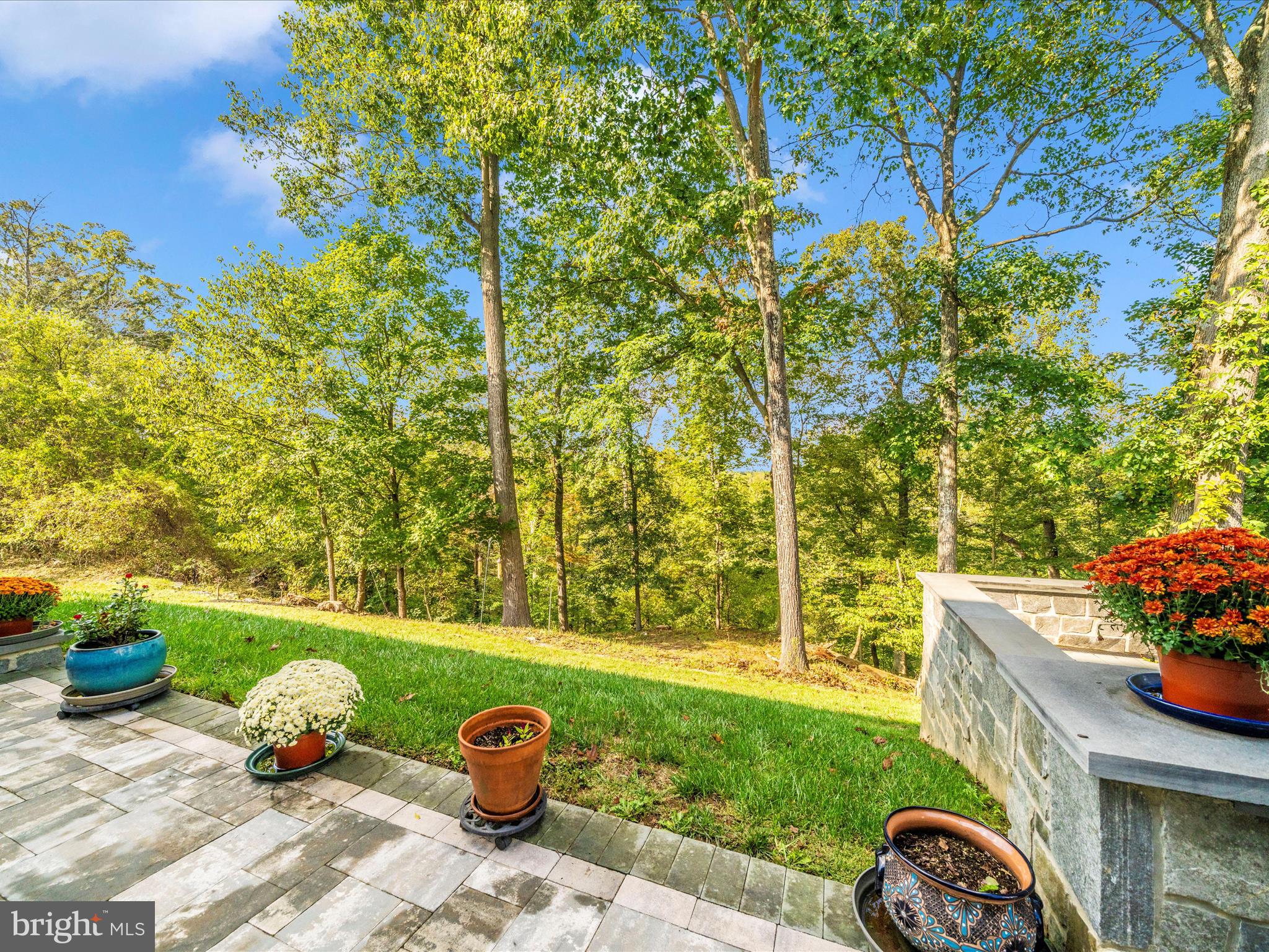 11046 Country Club Road New Market, MD 21774 - Photo 77 of 105 Exterior Back