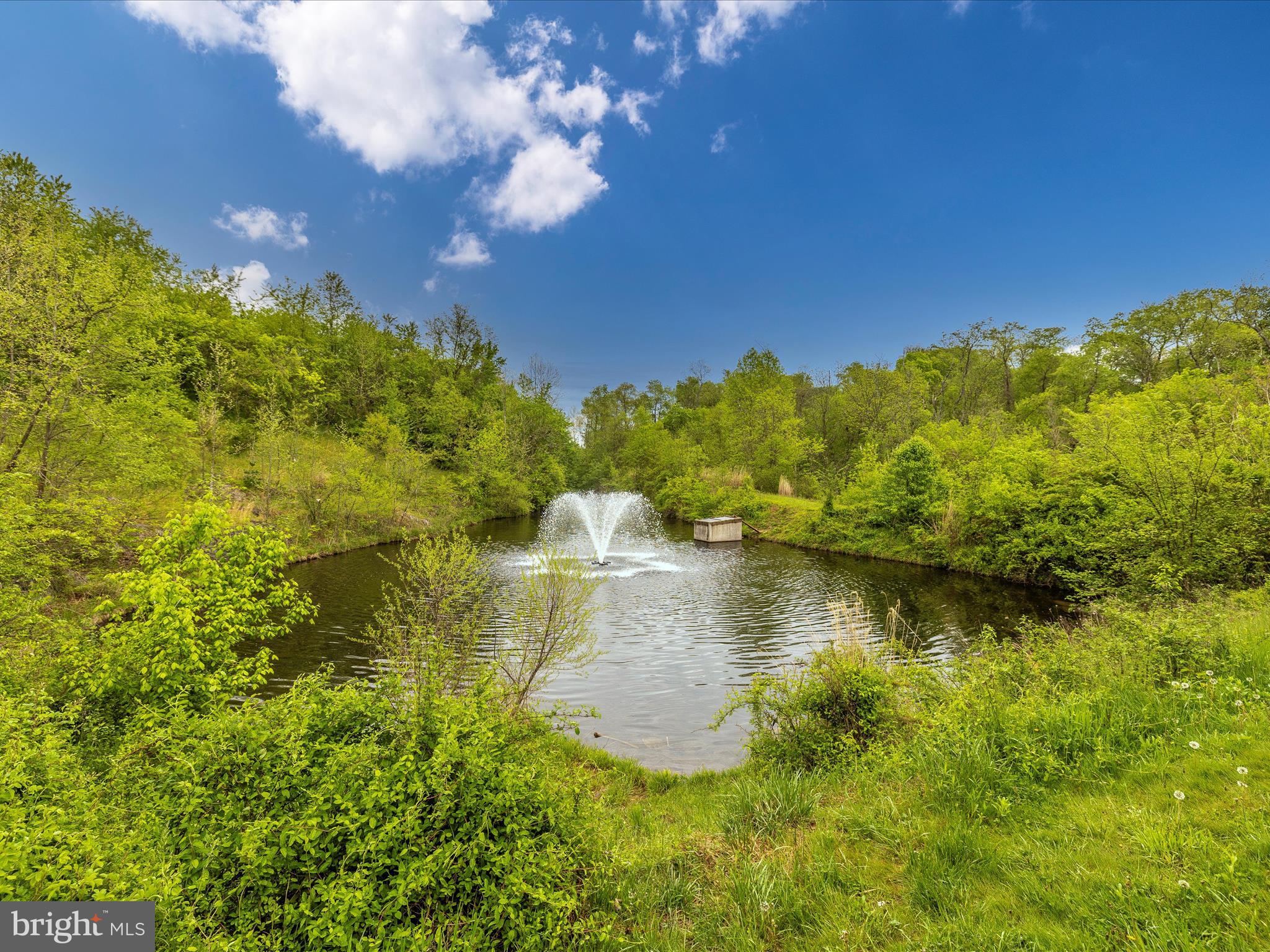 11046 Country Club Road New Market, MD 21774 - Photo 87 of 105 Westwinds