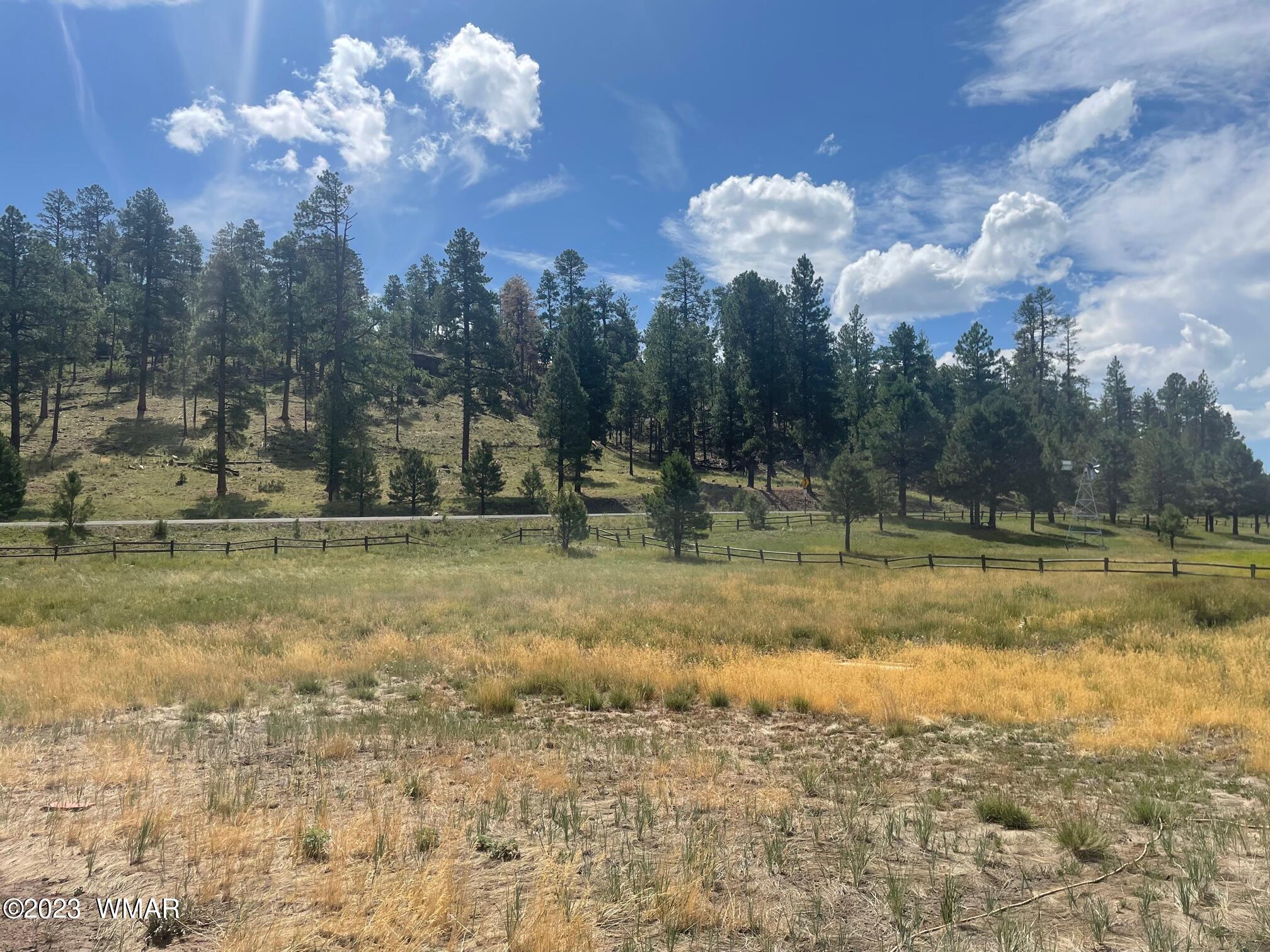 417 County Road Alpine, AZ 85920 - Photo 18 of 18