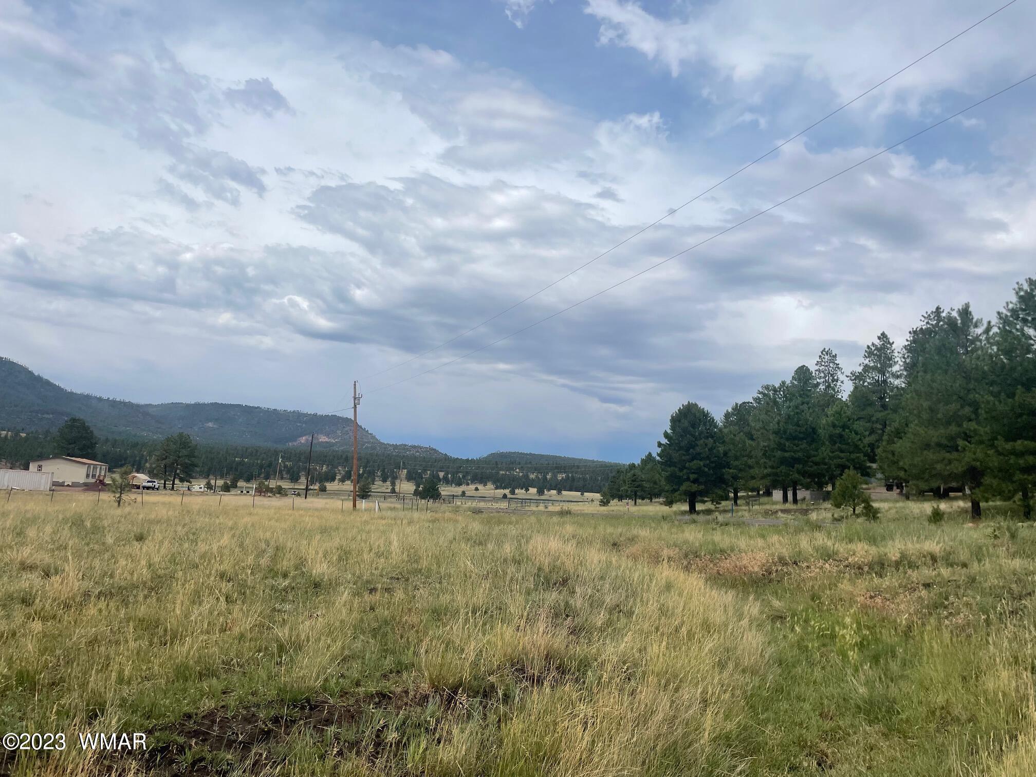 417 County Road Alpine, AZ 85920 - Photo 2 of 18