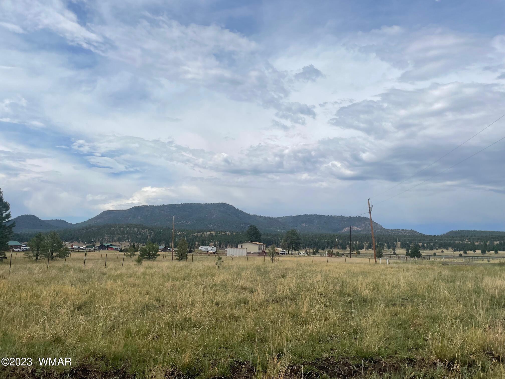 417 County Road Alpine, AZ 85920 - Photo 3 of 18
