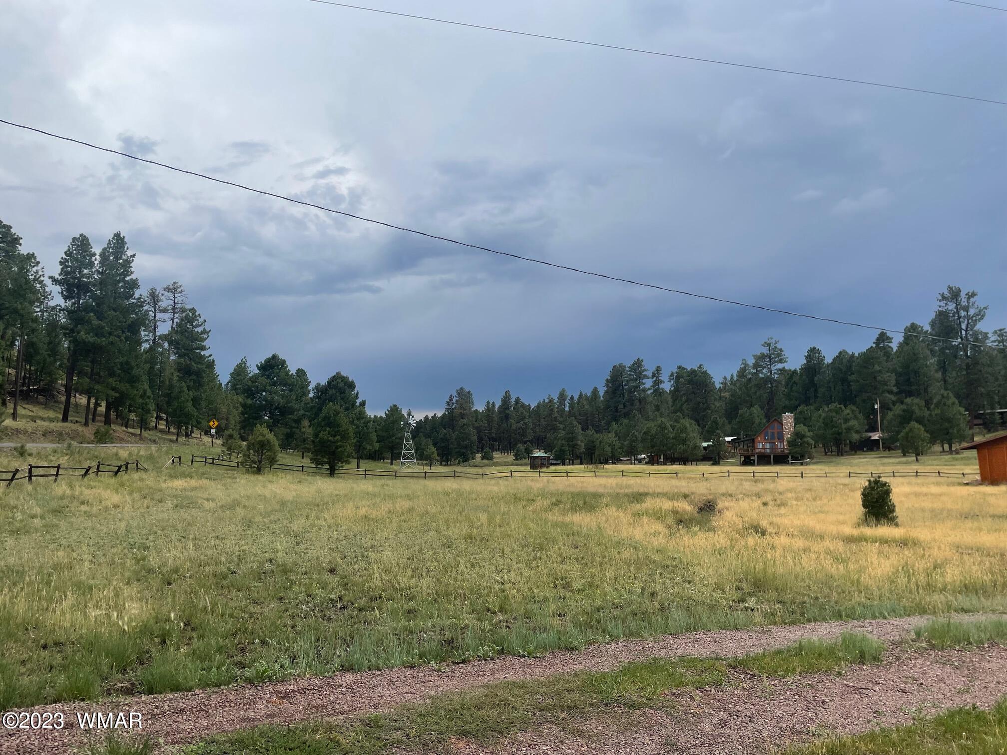 417 County Road Alpine, AZ 85920 - Photo 4 of 18