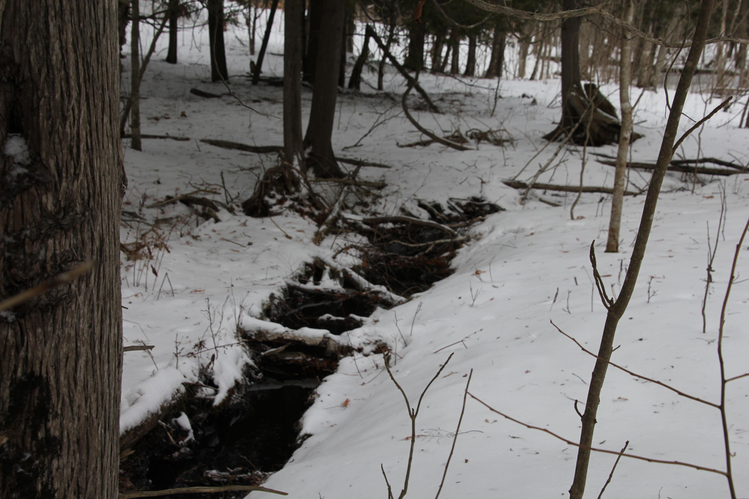 40-acres Tolan Road Spruce, MI 48762 - Photo 69 of 95 Gallery Image 69