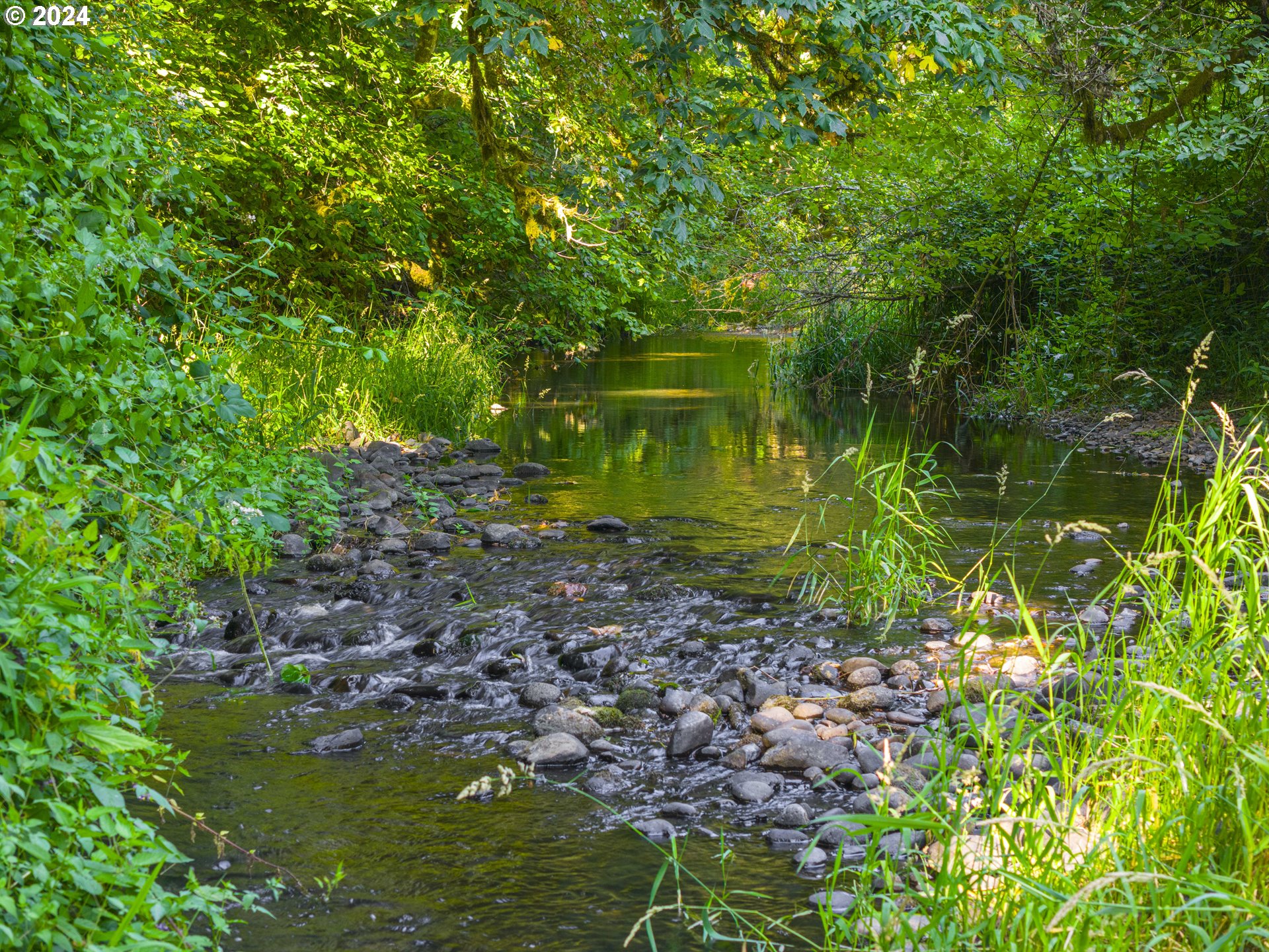29990 Southeast Knox Road Boring, OR 97009 - Photo 22 of 41