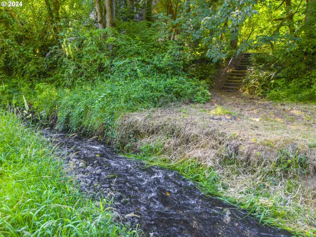 a view of a lush green forest
