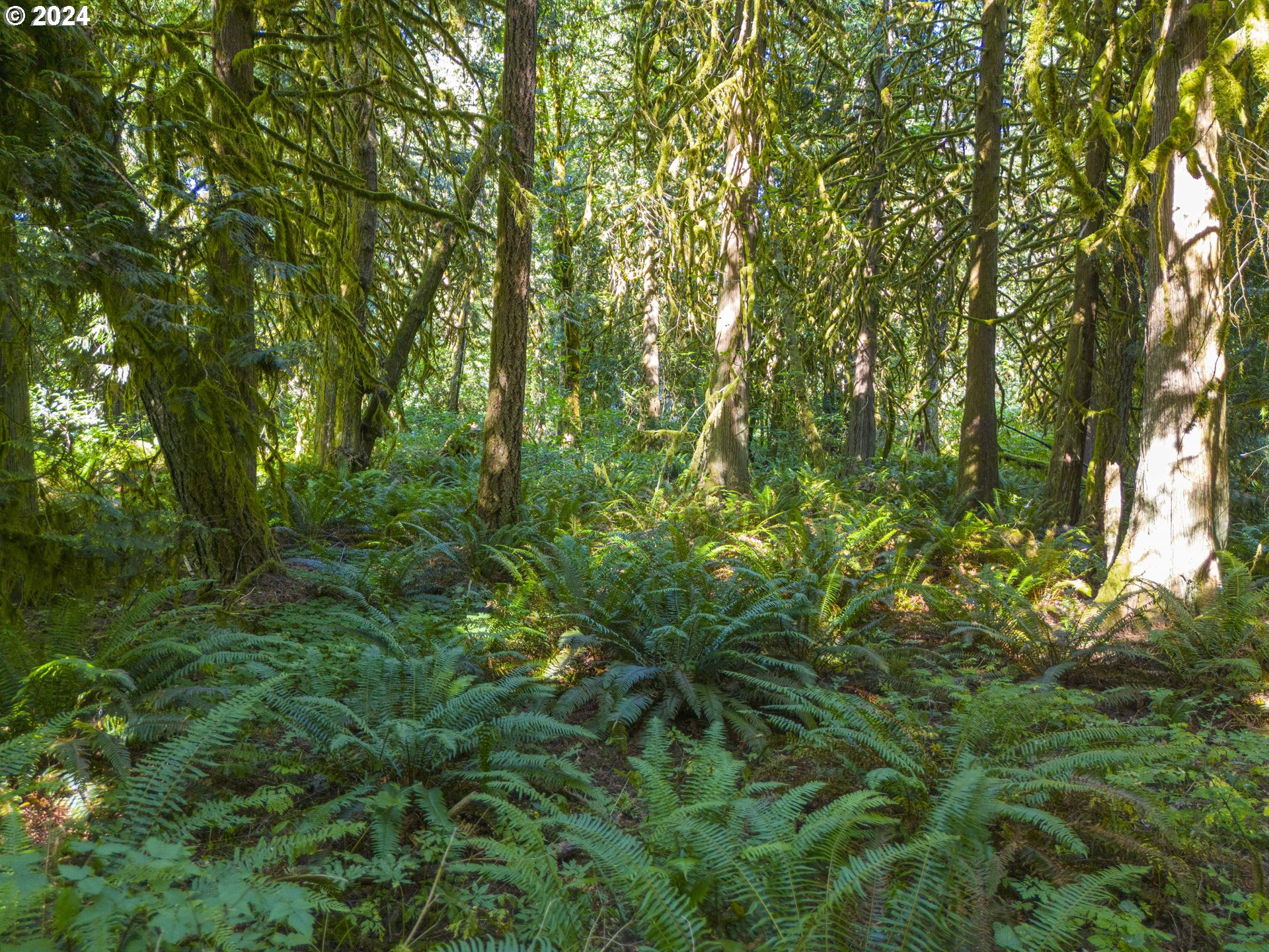 29990 Southeast Knox Road Boring, OR 97009 - Photo 25 of 41