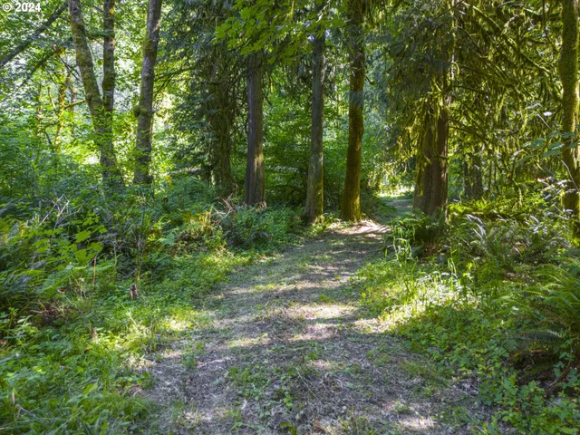 a view of outdoor space and deck