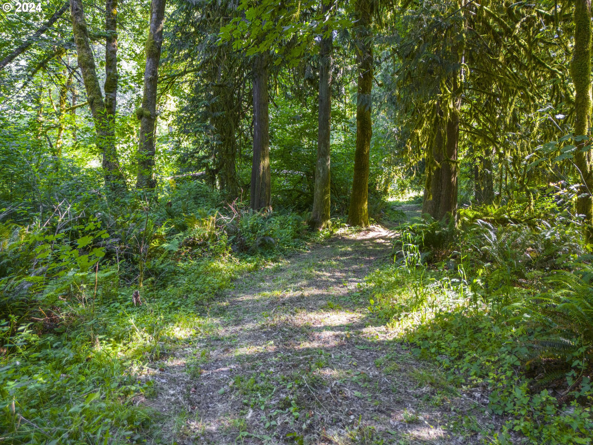 29990 Southeast Knox Road Boring, OR 97009 - Photo 29 of 41