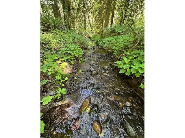 $859,000 | 29990 Southeast Knox Road, Boring, OR 97009