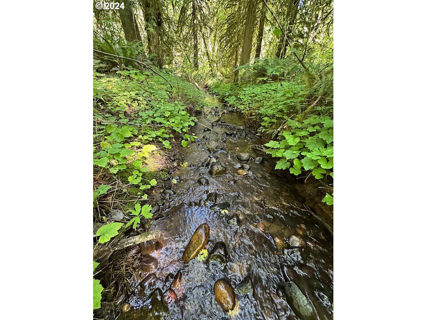 29990 Southeast Knox Road Boring, OR 97009 - Photo 41 of 41