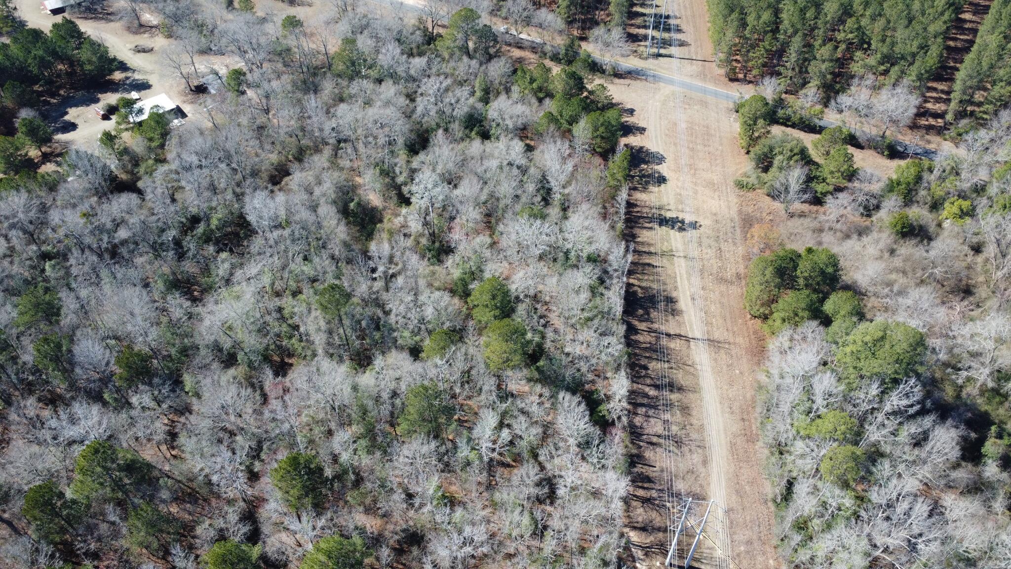 0 Veterans Road Salley, SC 29137 - Photo 6 of 23