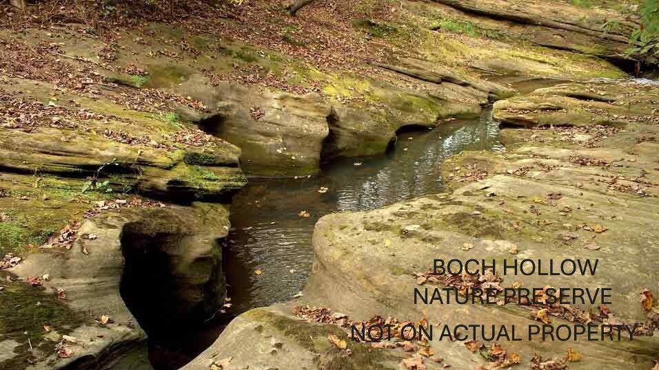 6321 R K Miller Road Logan, OH 43138 - Photo 67 of 90 Boch Hollow Preserve