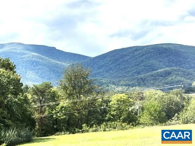 a front view of a house with yard and green space