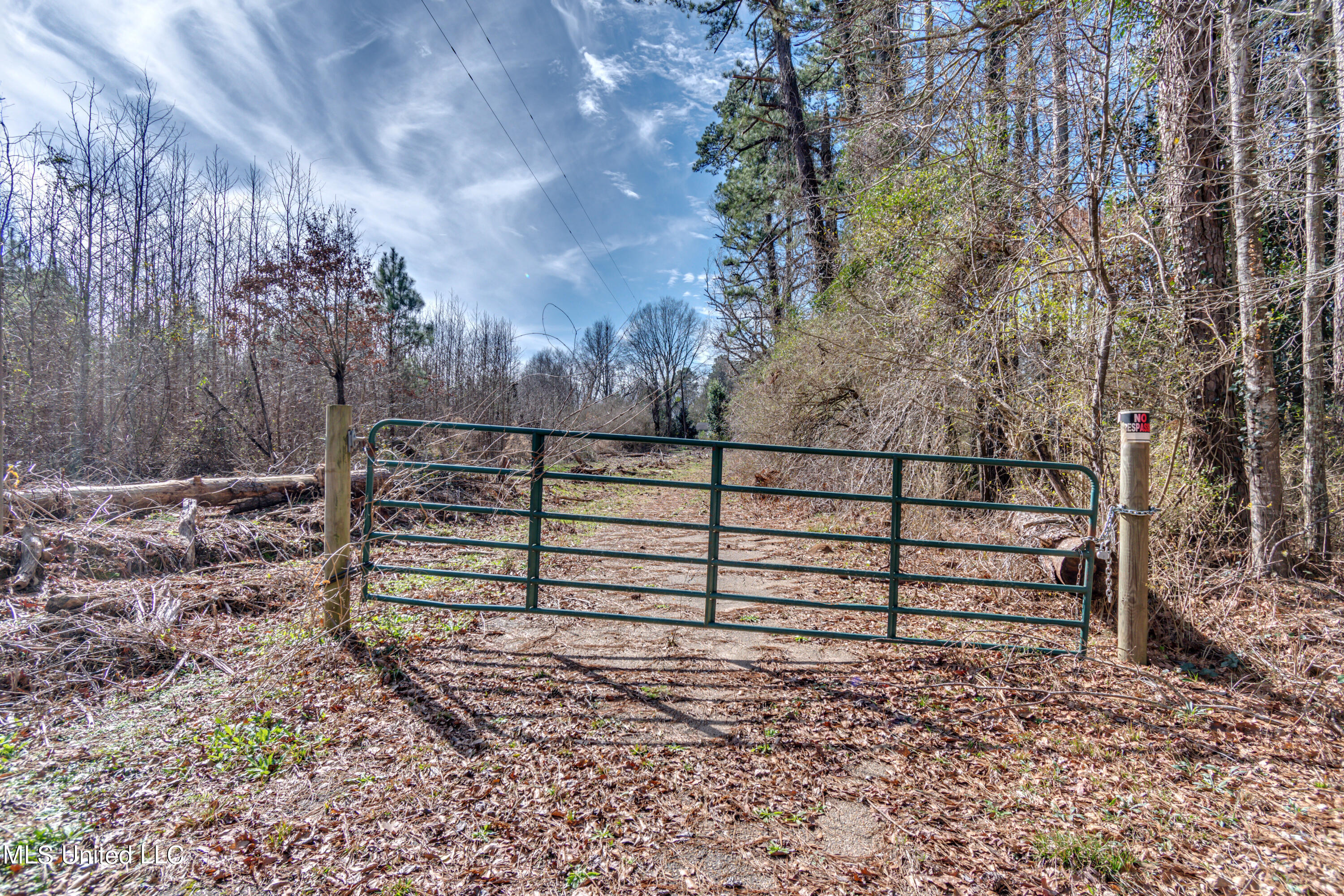 1125 Highway 481 Raleigh, MS 39153 - Photo 1 of 31 ROG_0100- 1125 Ms 481