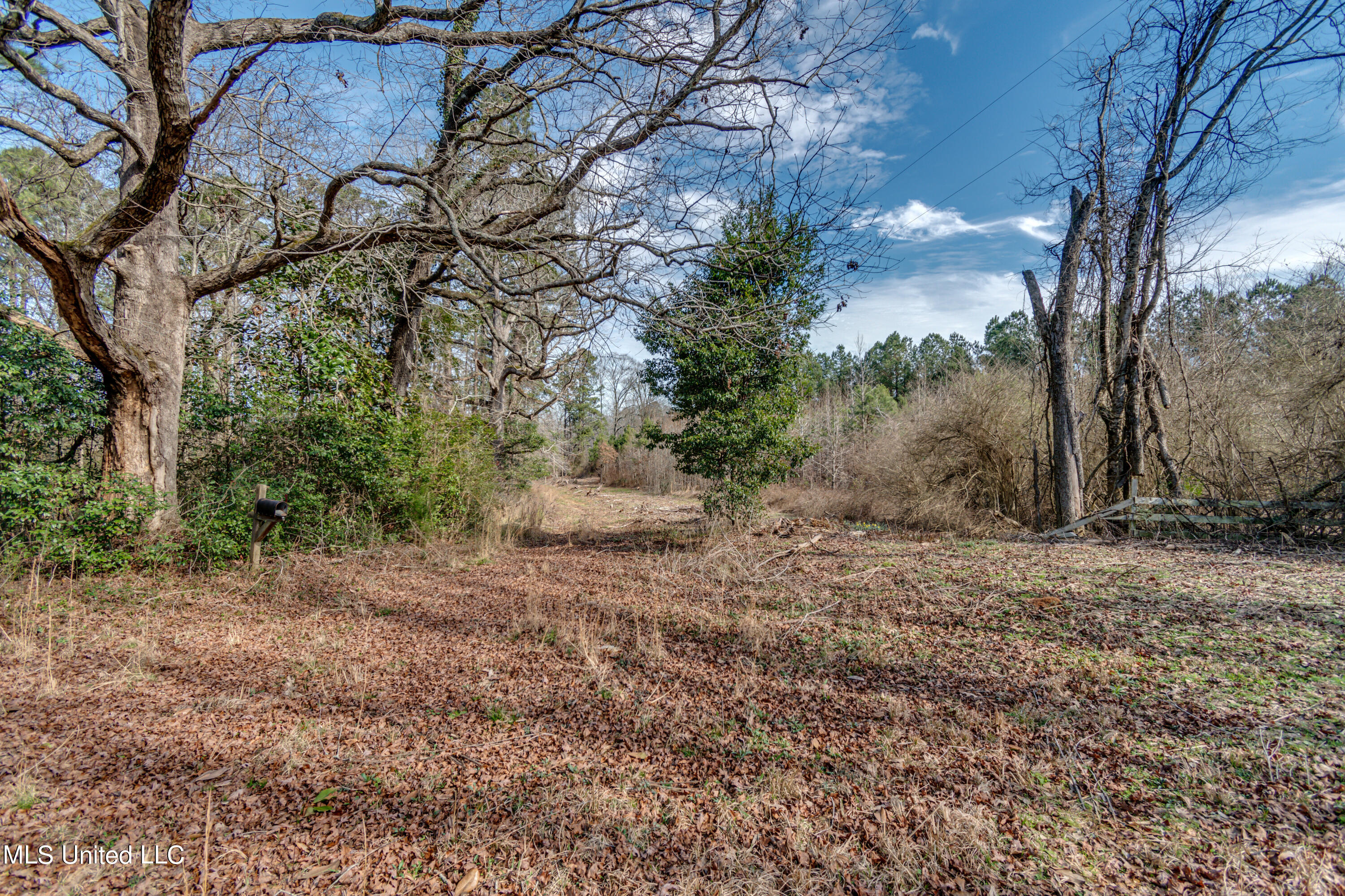 1125 Highway 481 Raleigh, MS 39153 - Photo 11 of 31 ROG_0079- 1125 Ms 481