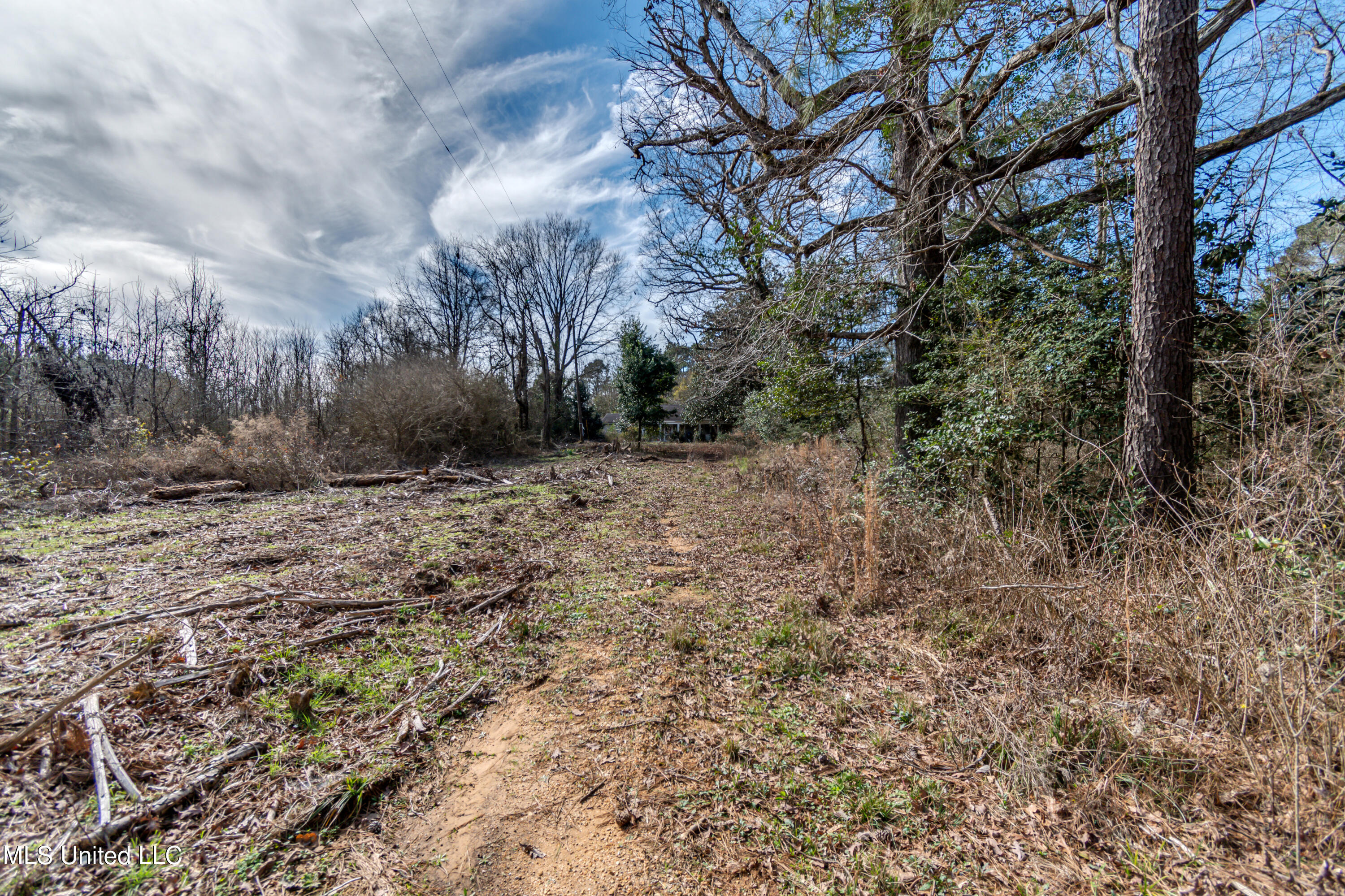 1125 Highway 481 Raleigh, MS 39153 - Photo 12 of 31 ROG_0070- 1125 Ms 481