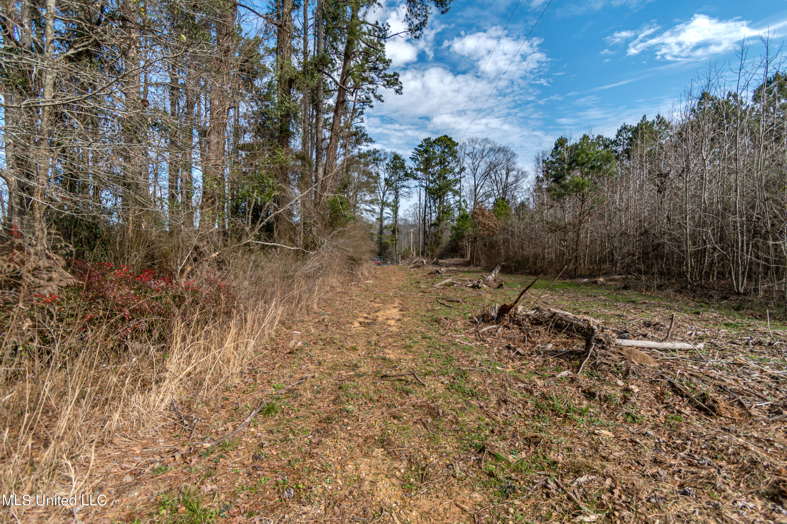 1125 Highway 481 Raleigh, MS 39153 - Photo 13 of 31 ROG_0067- 1125 Ms 481
