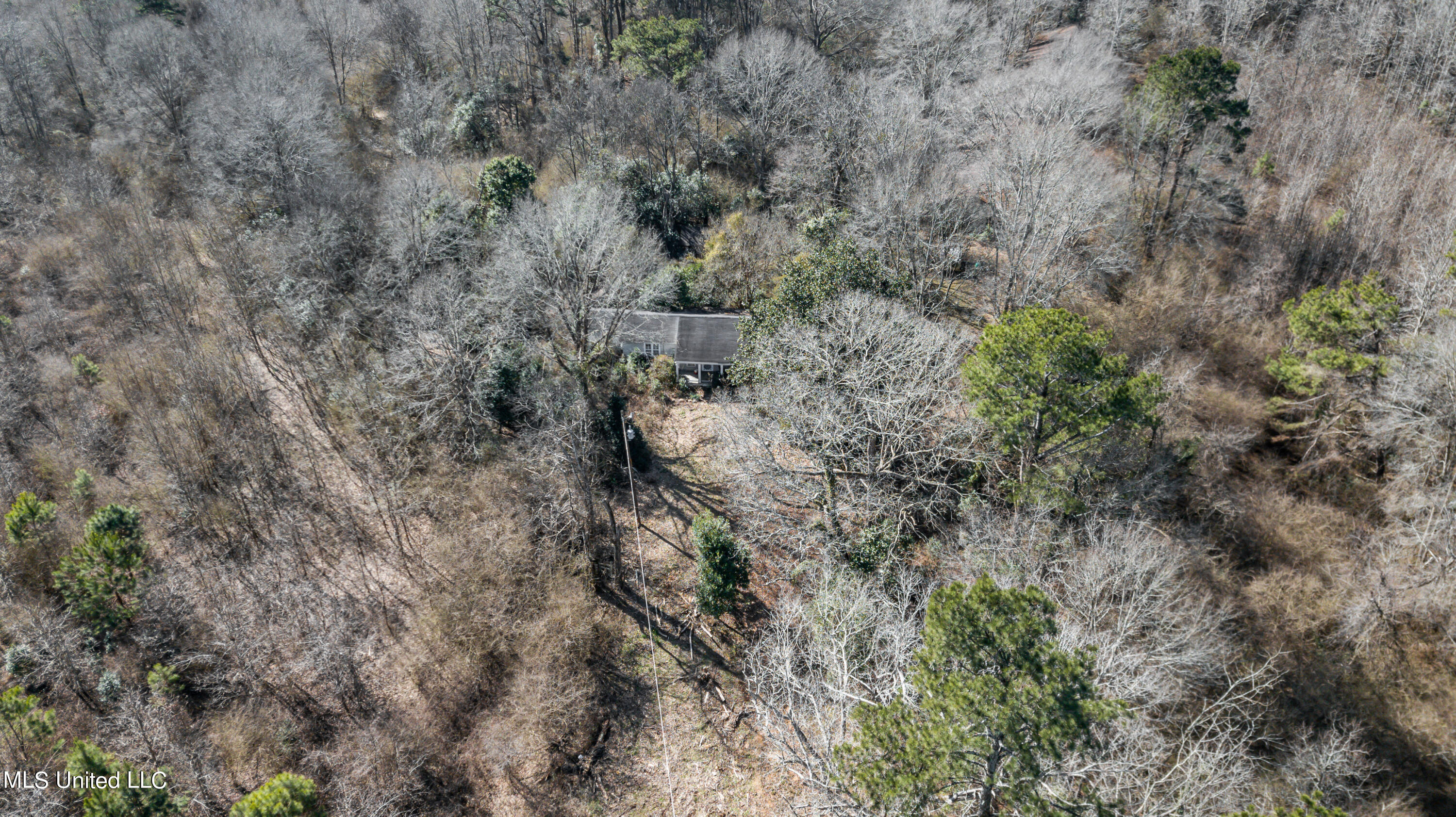 1125 Highway 481 Raleigh, MS 39153 - Photo 14 of 31 1125 Ms 481 drone-2