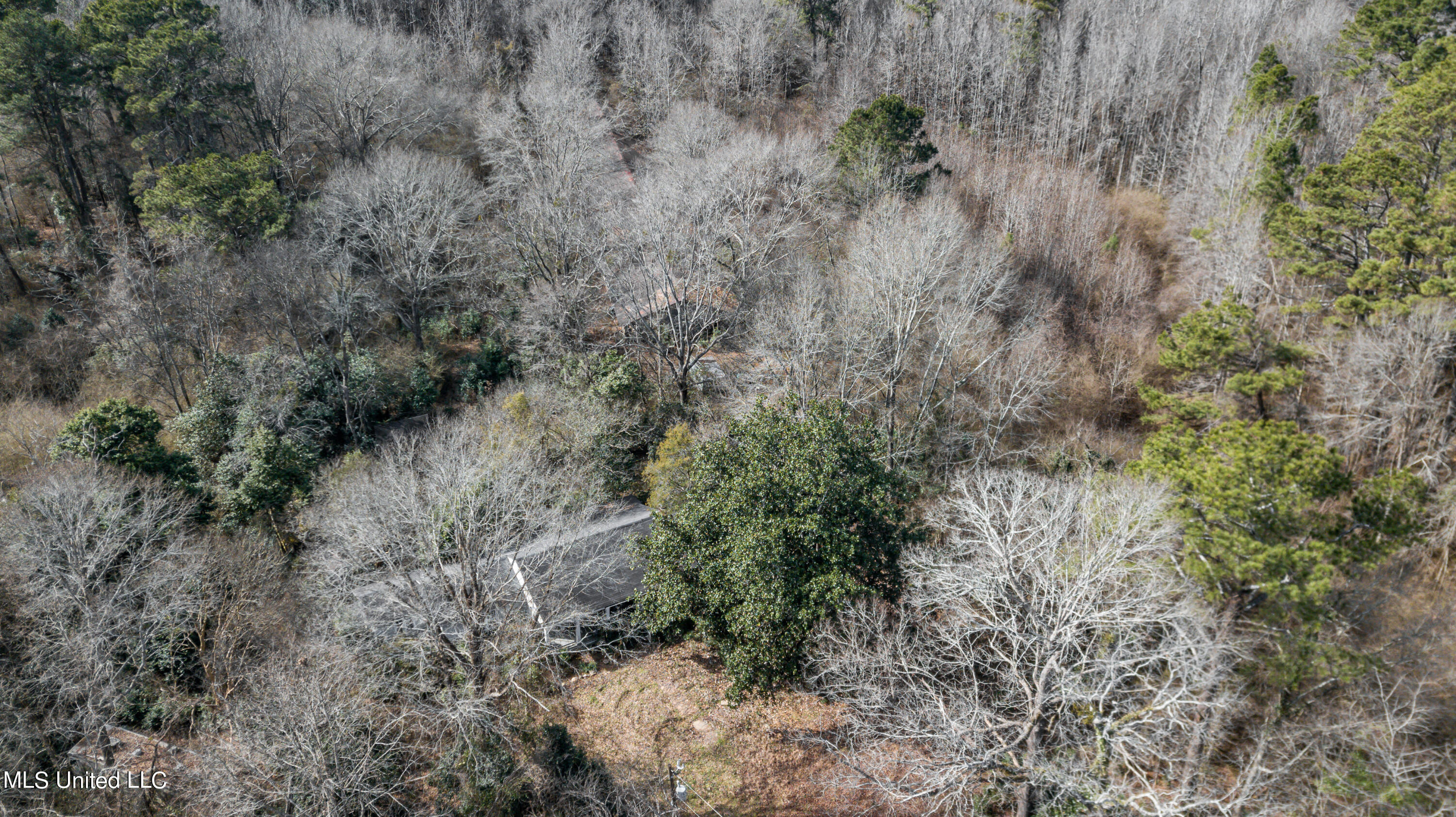 1125 Highway 481 Raleigh, MS 39153 - Photo 15 of 31 1125 Ms 481 drone-44