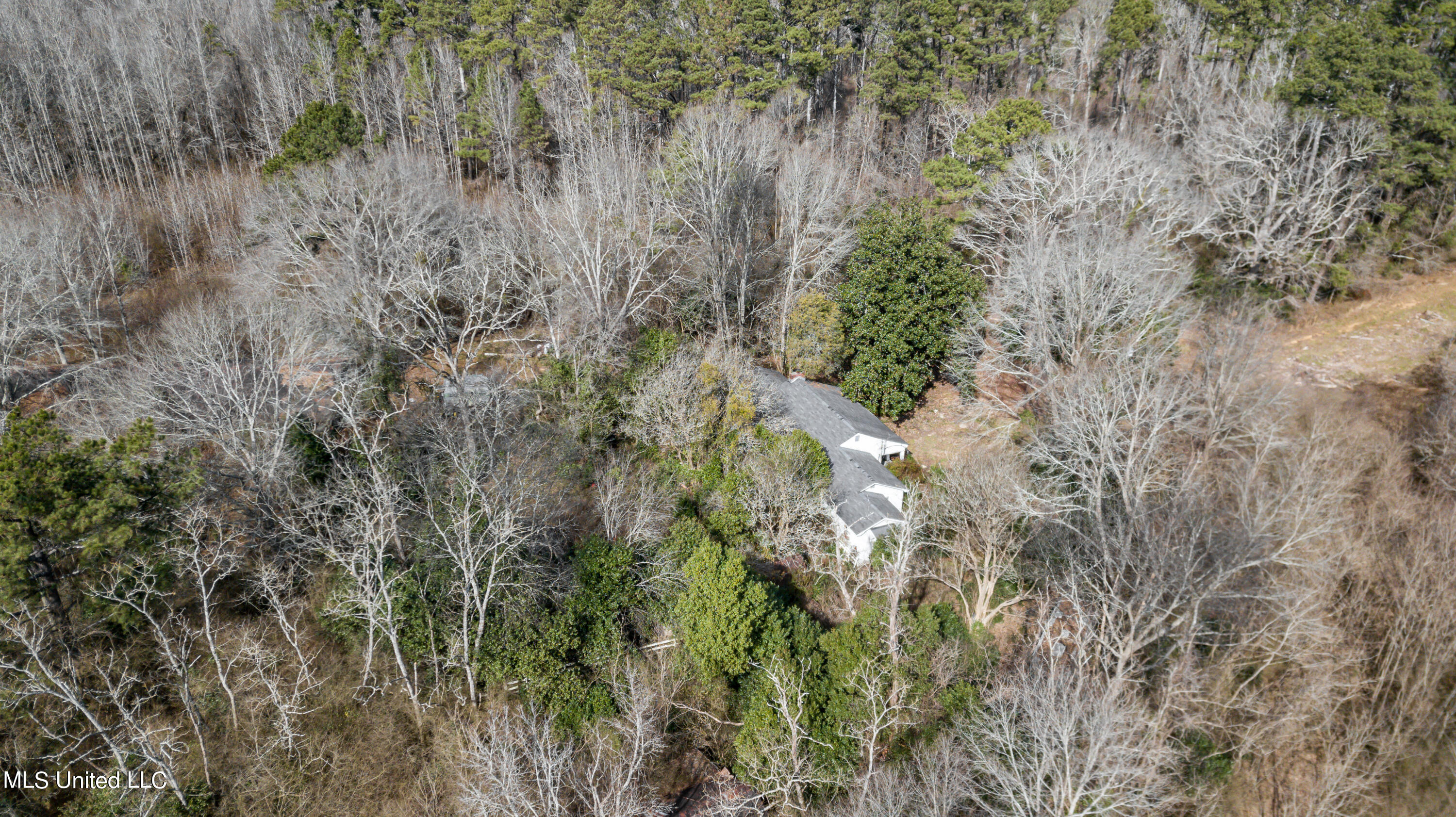 1125 Highway 481 Raleigh, MS 39153 - Photo 16 of 31 1125 Ms 481 drone-46