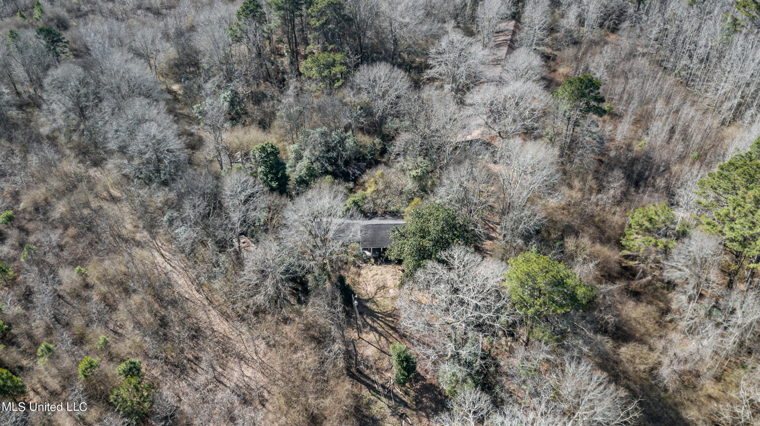 1125 Highway 481 Raleigh, MS 39153 - Photo 17 of 31 1125 Ms 481 drone-3
