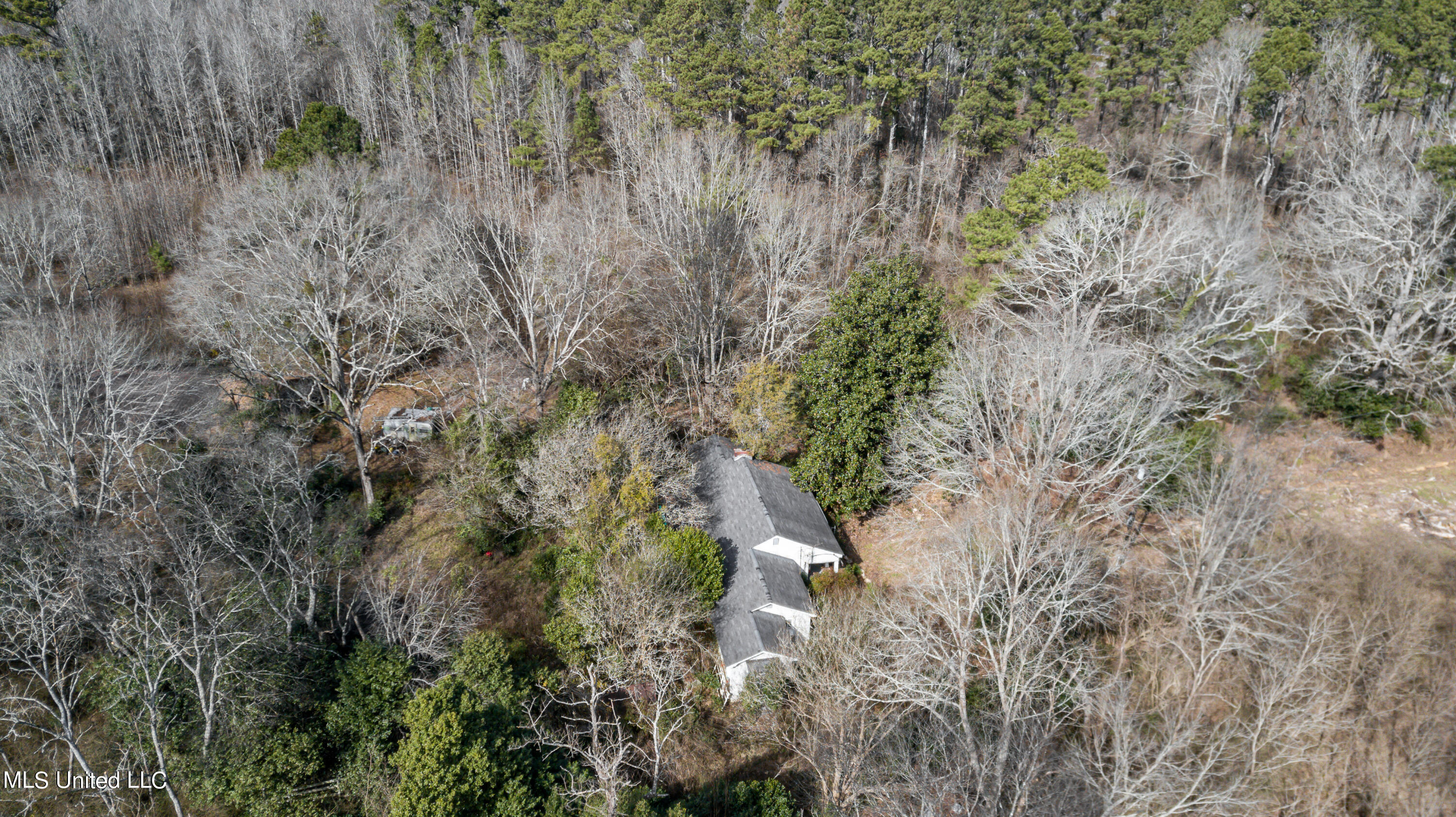1125 Highway 481 Raleigh, MS 39153 - Photo 18 of 31 1125 Ms 481 drone-45