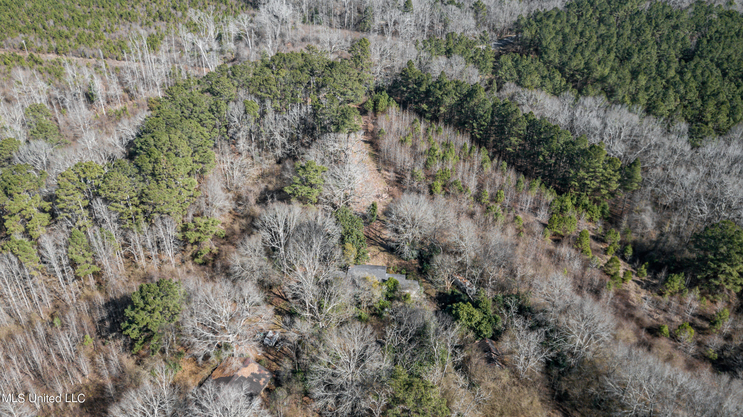 1125 Highway 481 Raleigh, MS 39153 - Photo 19 of 31 1125 Ms 481 drone-4