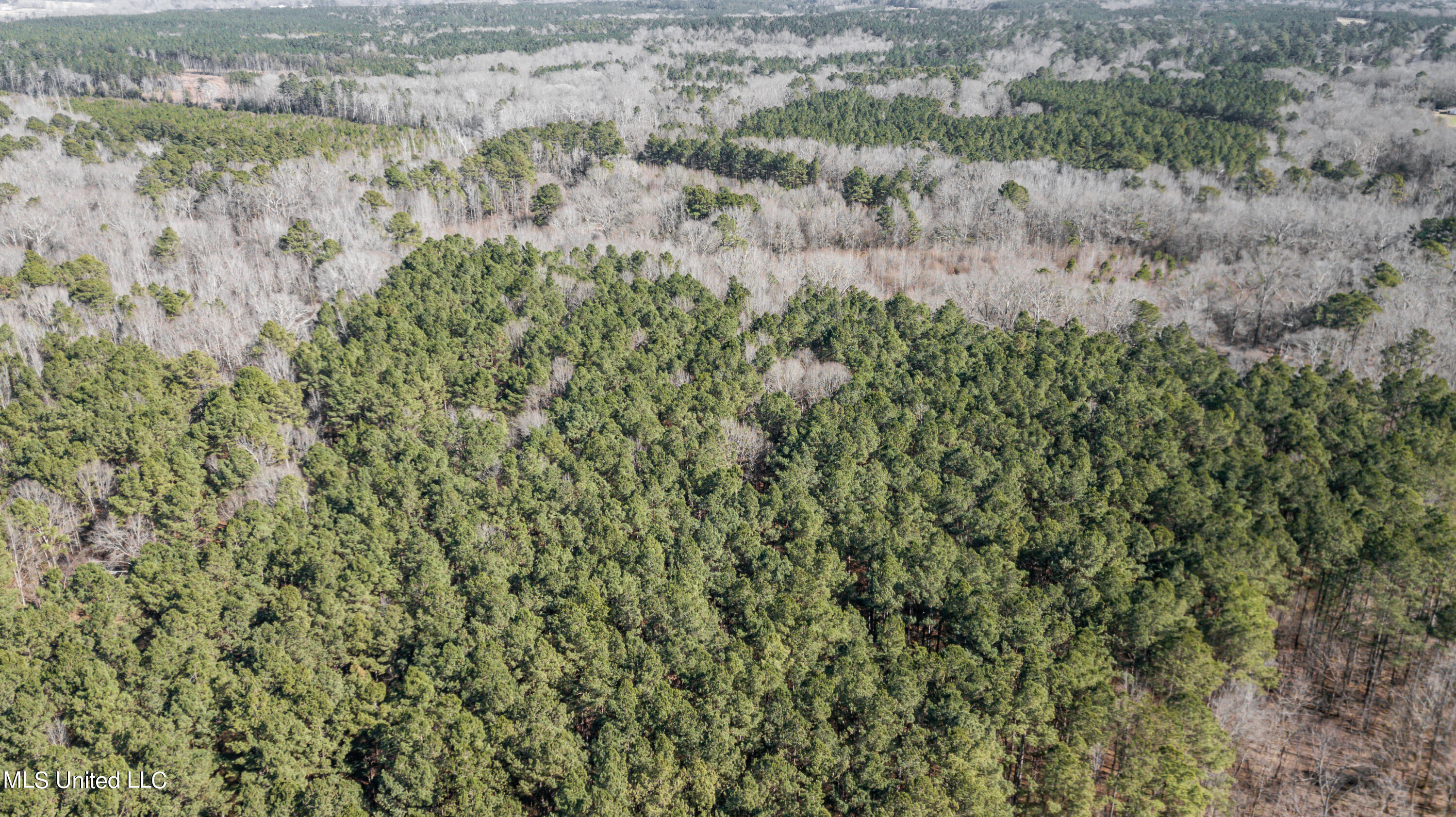 1125 Highway 481 Raleigh, MS 39153 - Photo 20 of 31 1125 Ms 481 drone-6