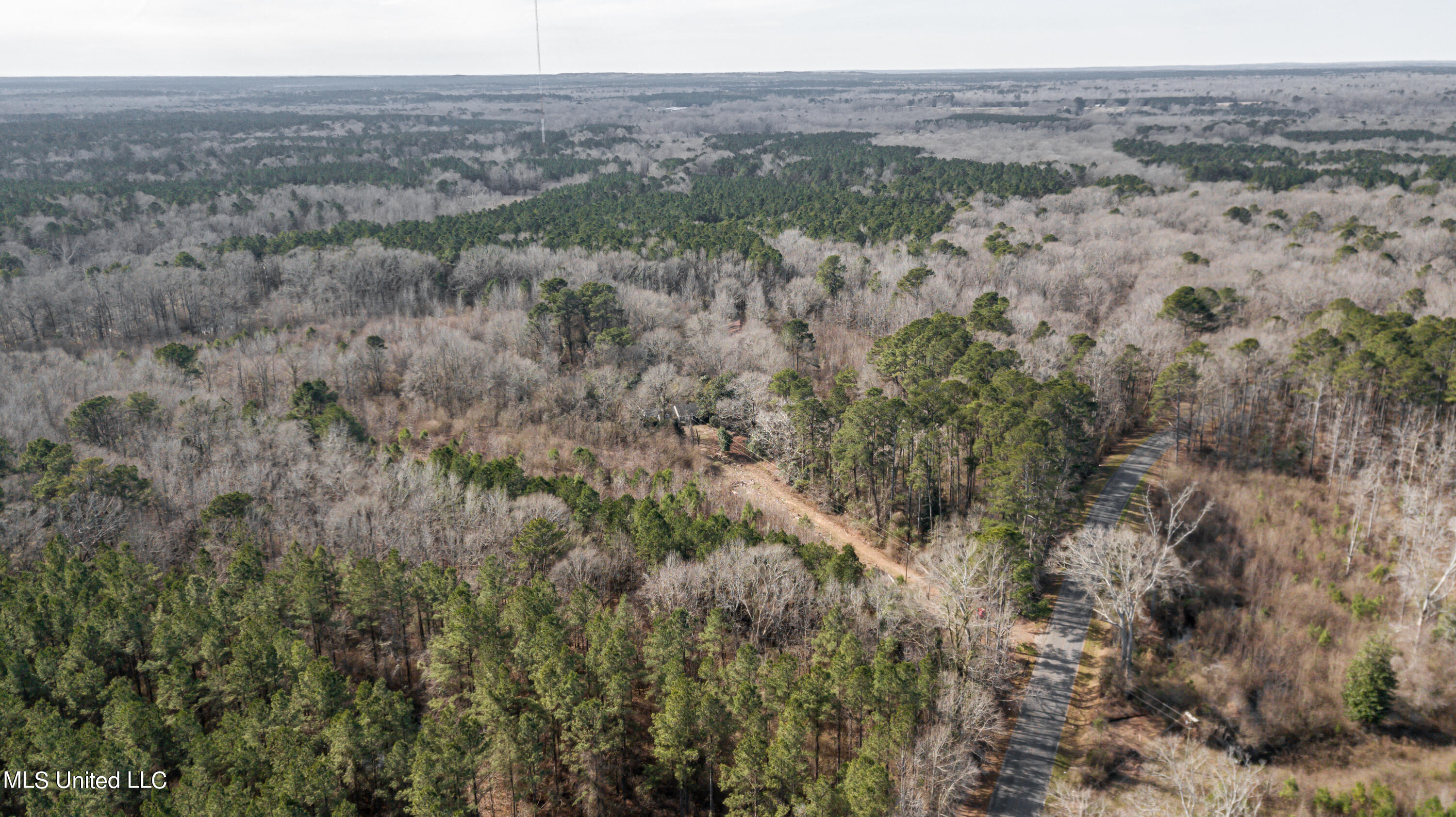 1125 Highway 481 Raleigh, MS 39153 - Photo 21 of 31 1125 Ms 481 drone-39