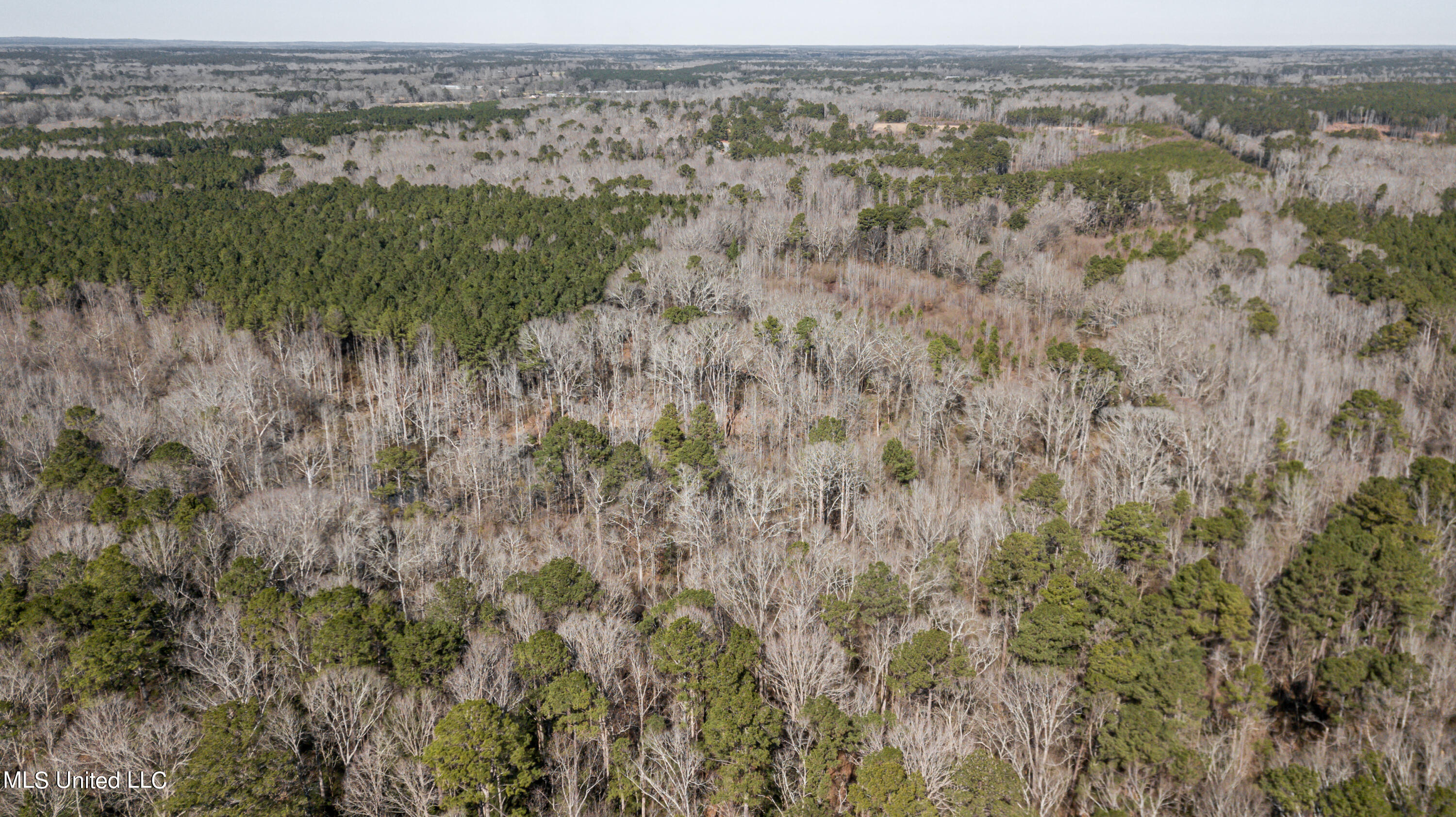 1125 Highway 481 Raleigh, MS 39153 - Photo 22 of 31 1125 Ms 481 drone-17