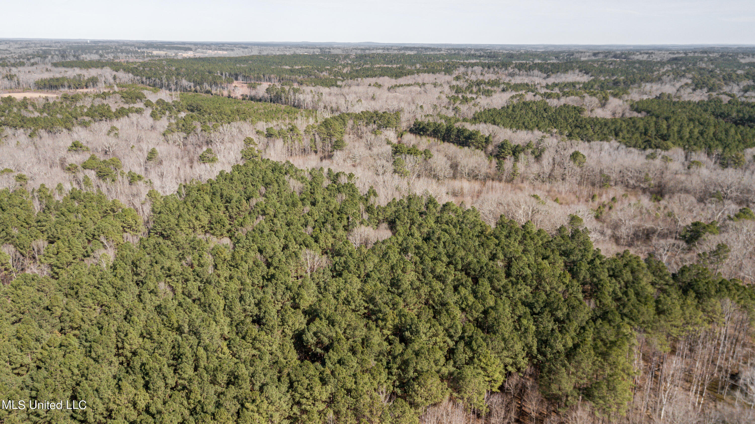 1125 Highway 481 Raleigh, MS 39153 - Photo 23 of 31 1125 Ms 481 drone-26