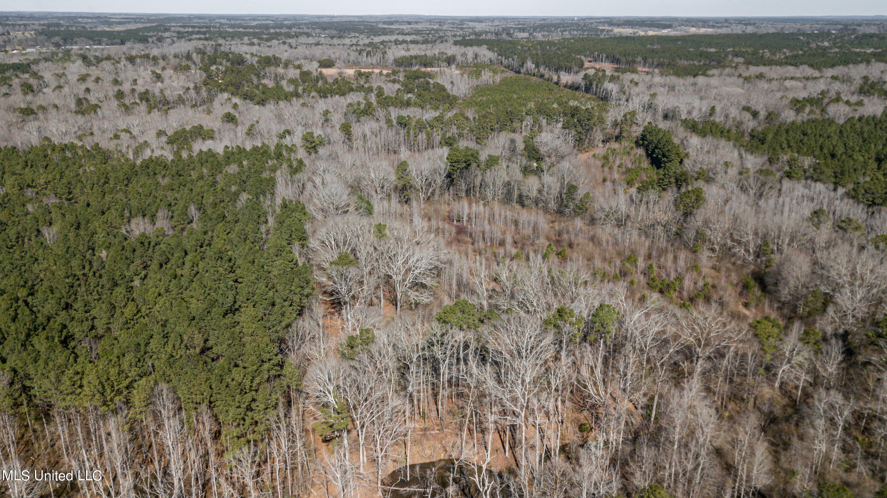 1125 Highway 481 Raleigh, MS 39153 - Photo 24 of 31 1125 Ms 481 drone-13