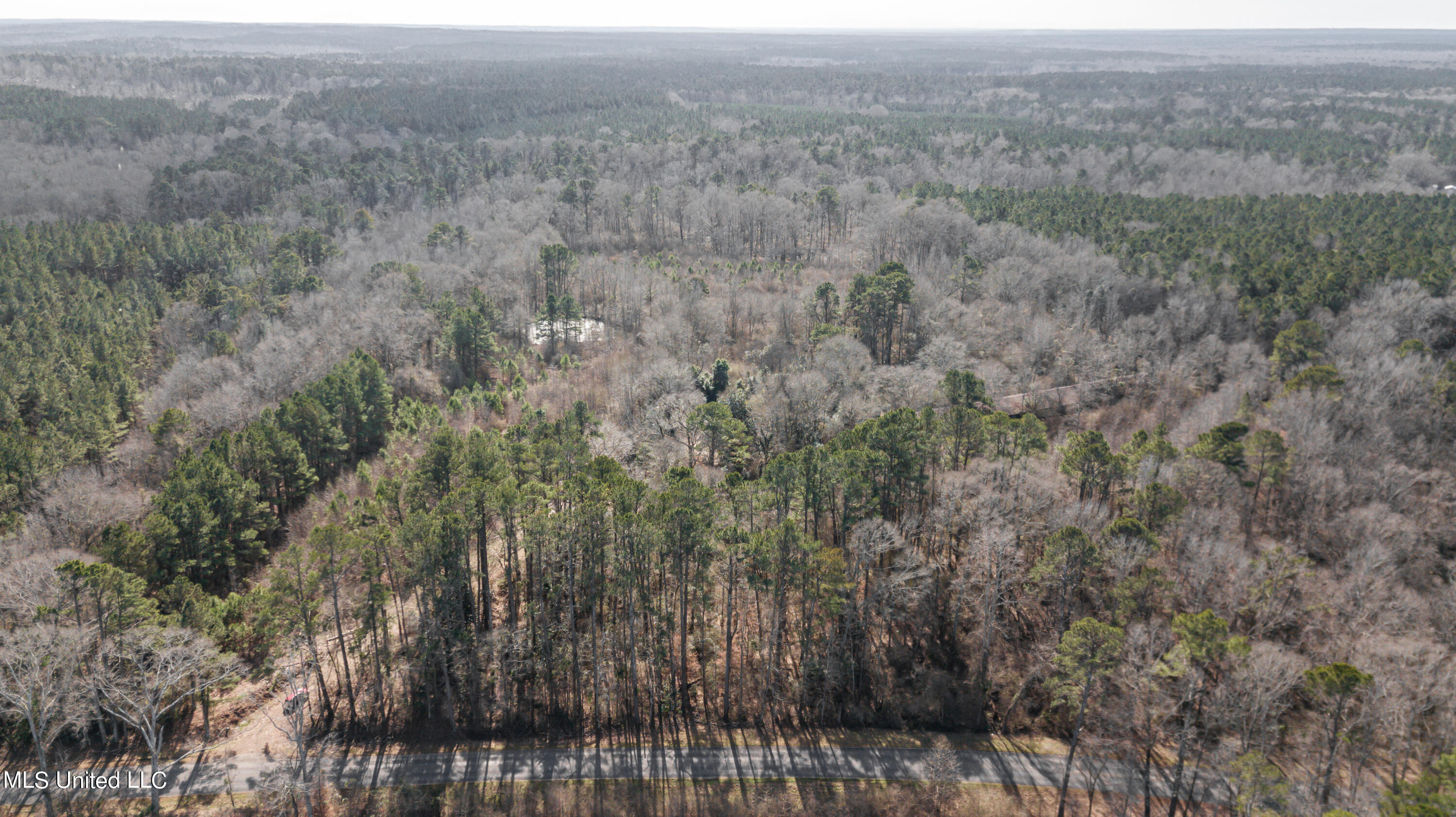 1125 Highway 481 Raleigh, MS 39153 - Photo 25 of 31 1125 Ms 481 drone-32