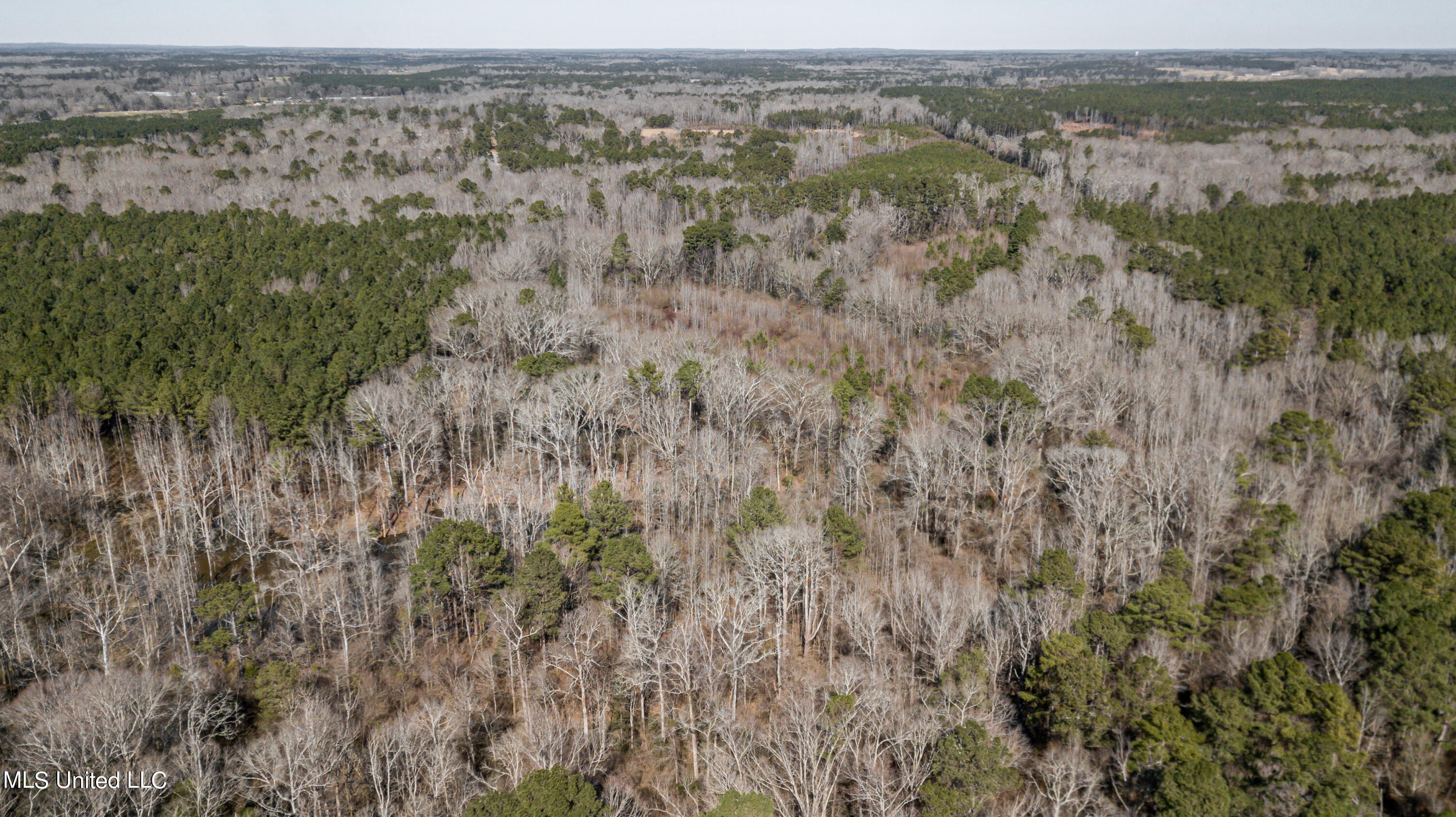 1125 Highway 481 Raleigh, MS 39153 - Photo 26 of 31 1125 Ms 481 drone-16