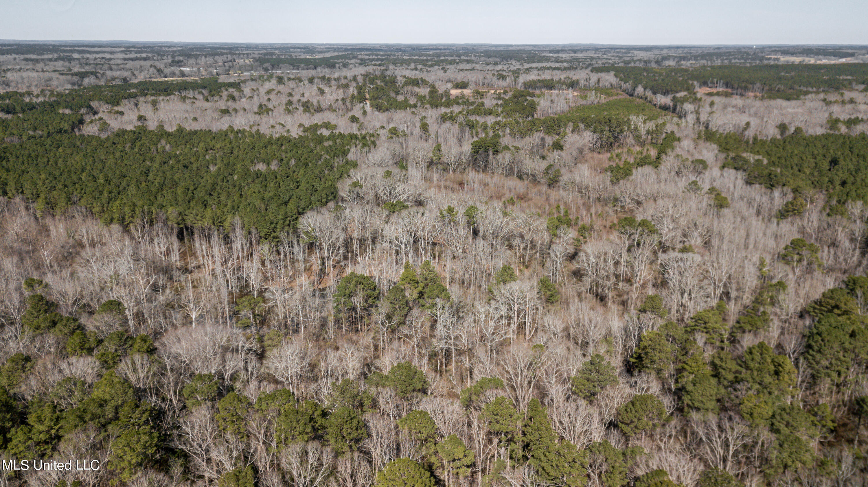 1125 Highway 481 Raleigh, MS 39153 - Photo 27 of 31 1125 Ms 481 drone-18
