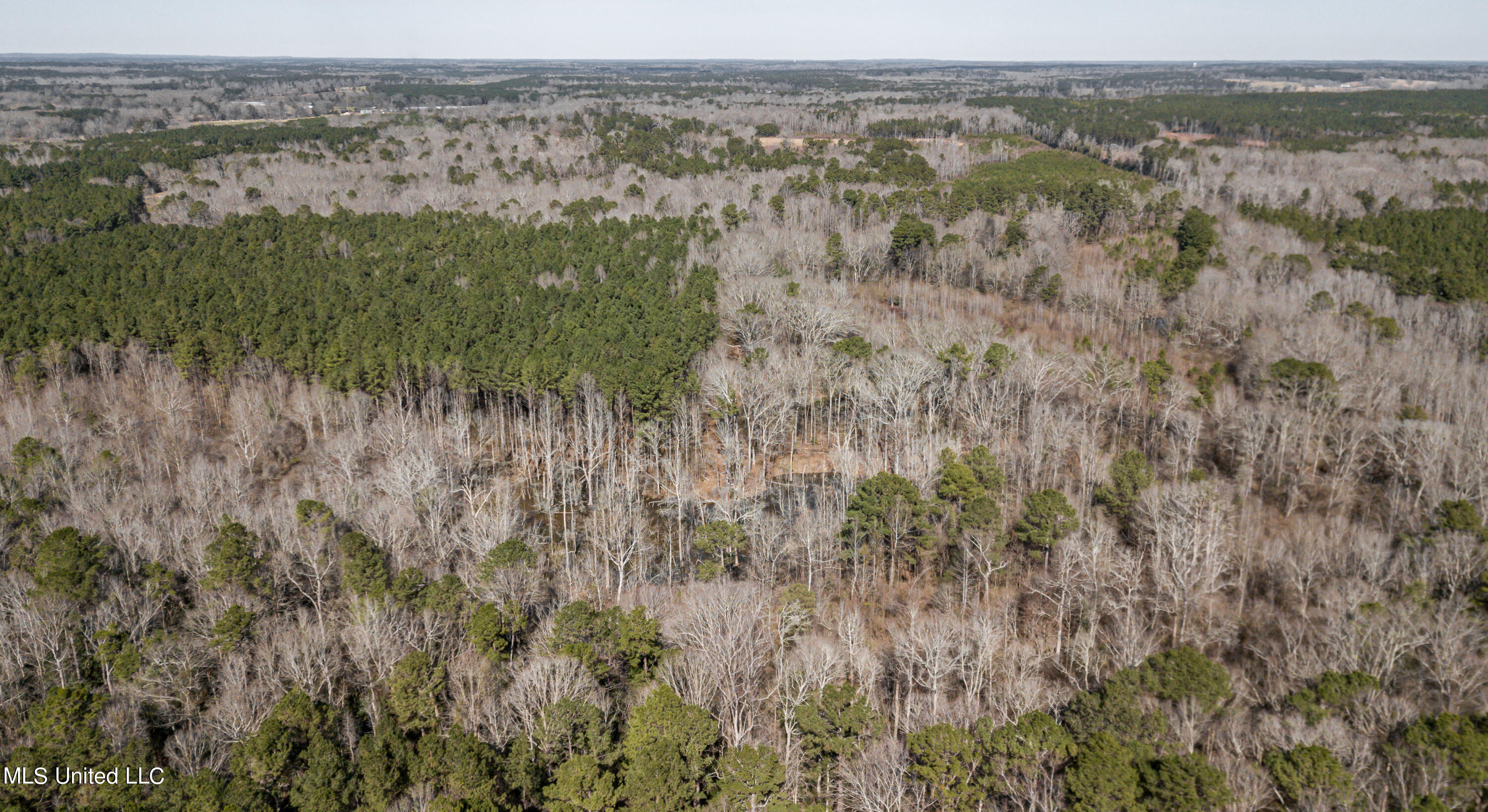 1125 Highway 481 Raleigh, MS 39153 - Photo 28 of 31 1125 Ms 481 drone-19