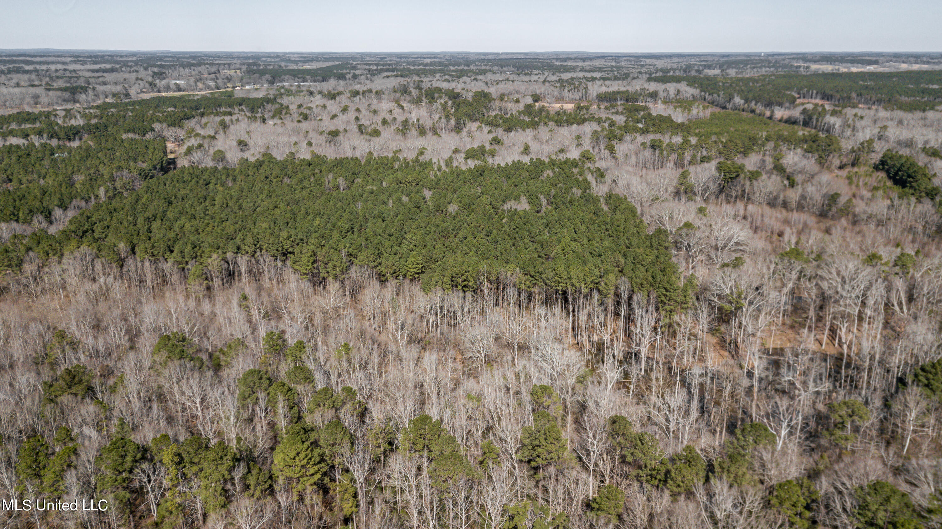 1125 Highway 481 Raleigh, MS 39153 - Photo 29 of 31 1125 Ms 481 drone-21