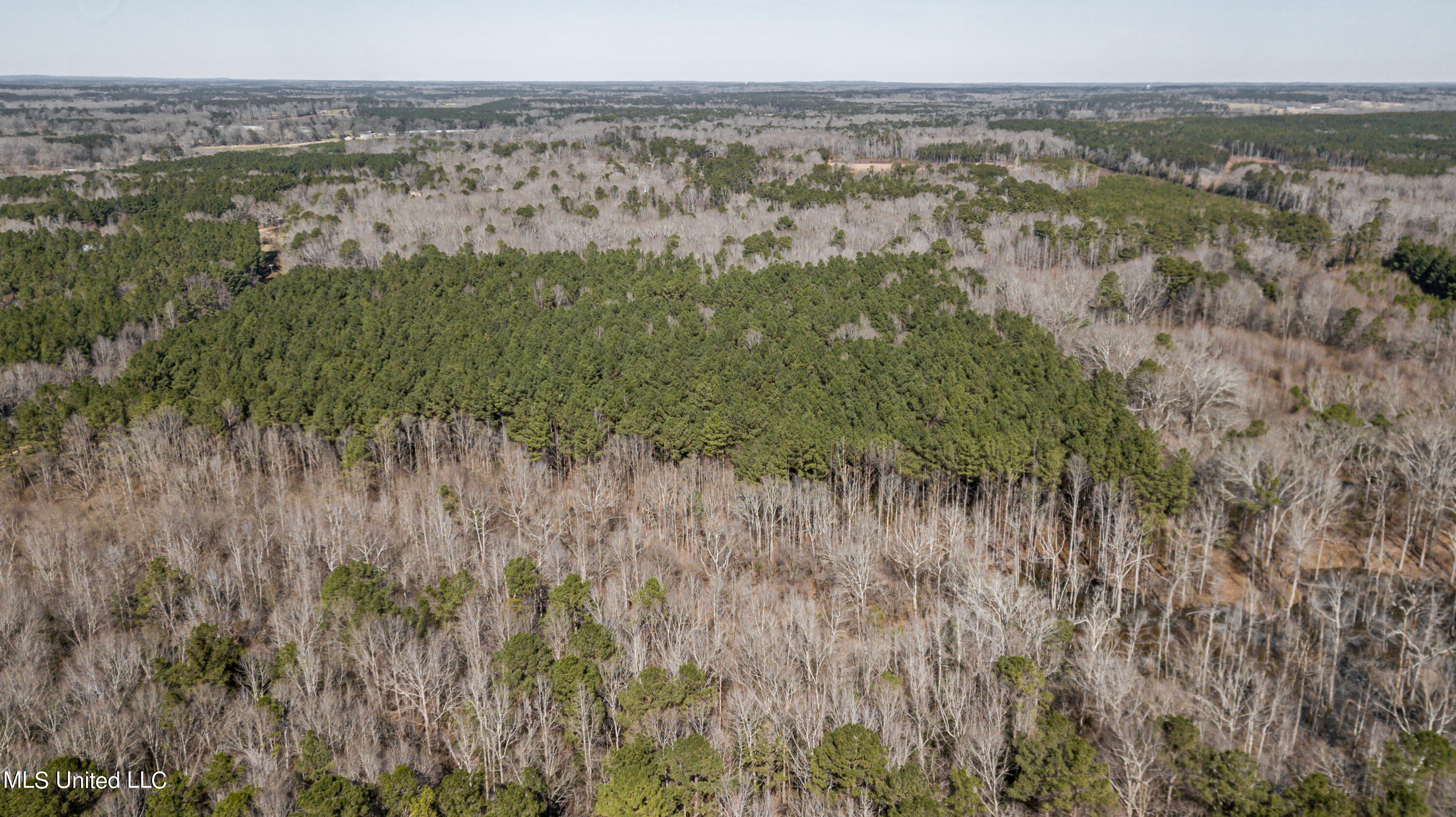 1125 Highway 481 Raleigh, MS 39153 - Photo 30 of 31 1125 Ms 481 drone-22