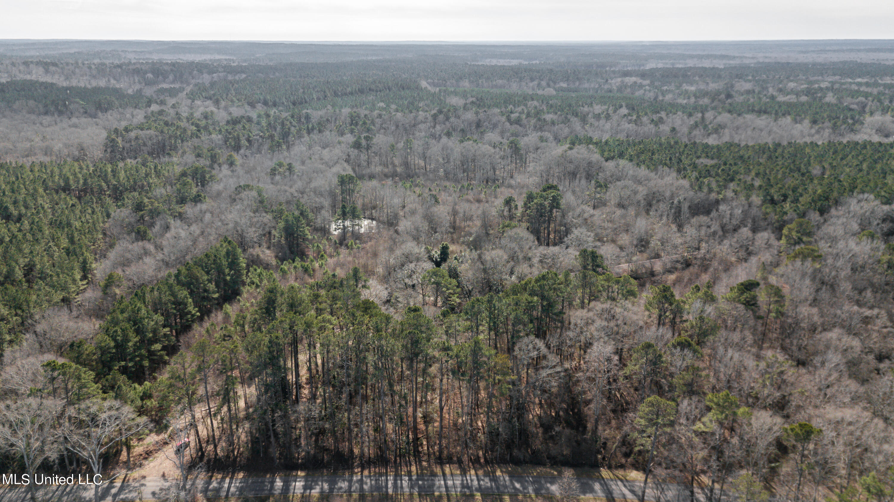 1125 Highway 481 Raleigh, MS 39153 - Photo 3 of 31 1125 Ms 481 drone-33