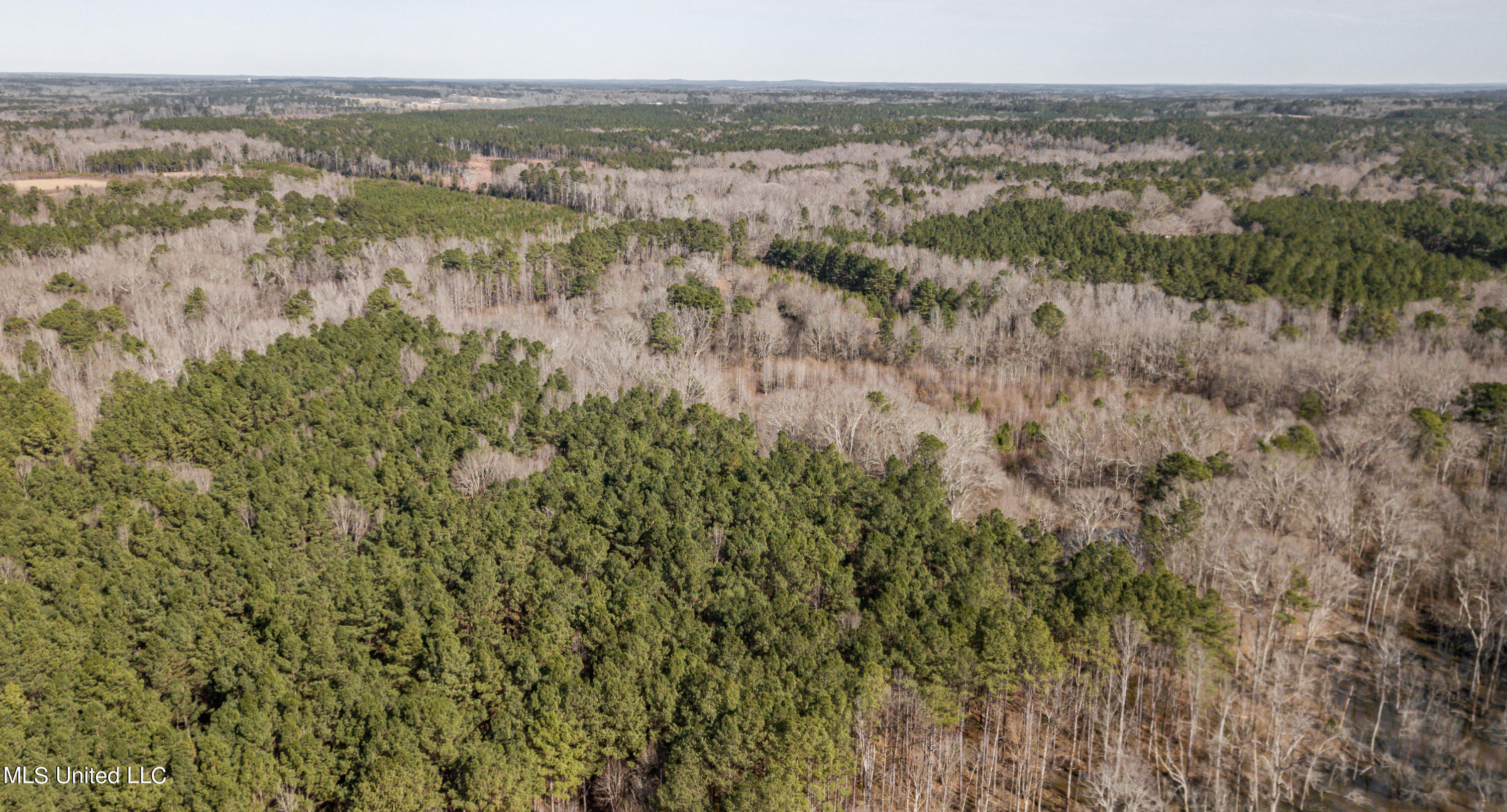 1125 Highway 481 Raleigh, MS 39153 - Photo 31 of 31 1125 Ms 481 drone-25
