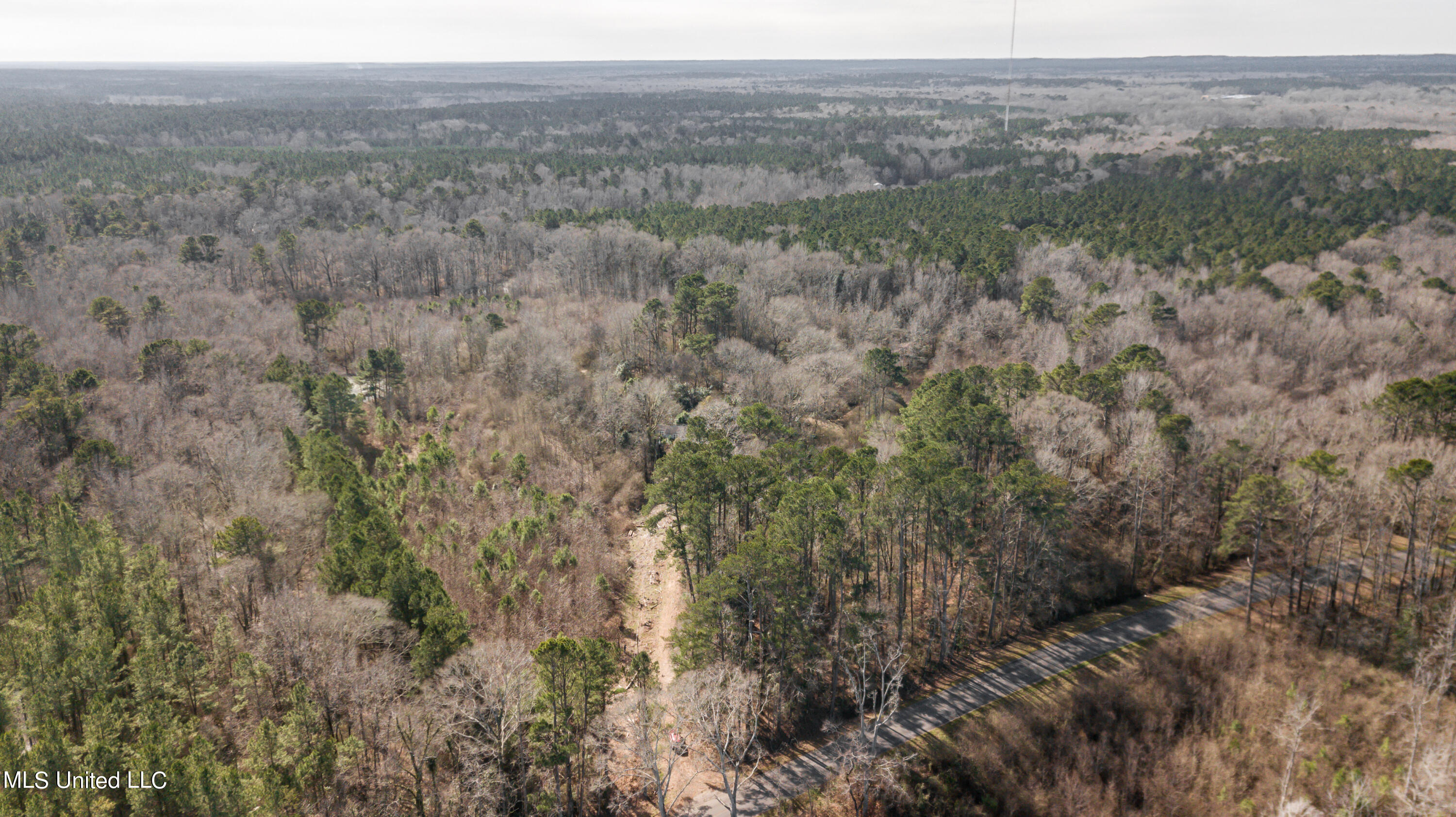 1125 Highway 481 Raleigh, MS 39153 - Photo 4 of 31 1125 Ms 481 drone-30