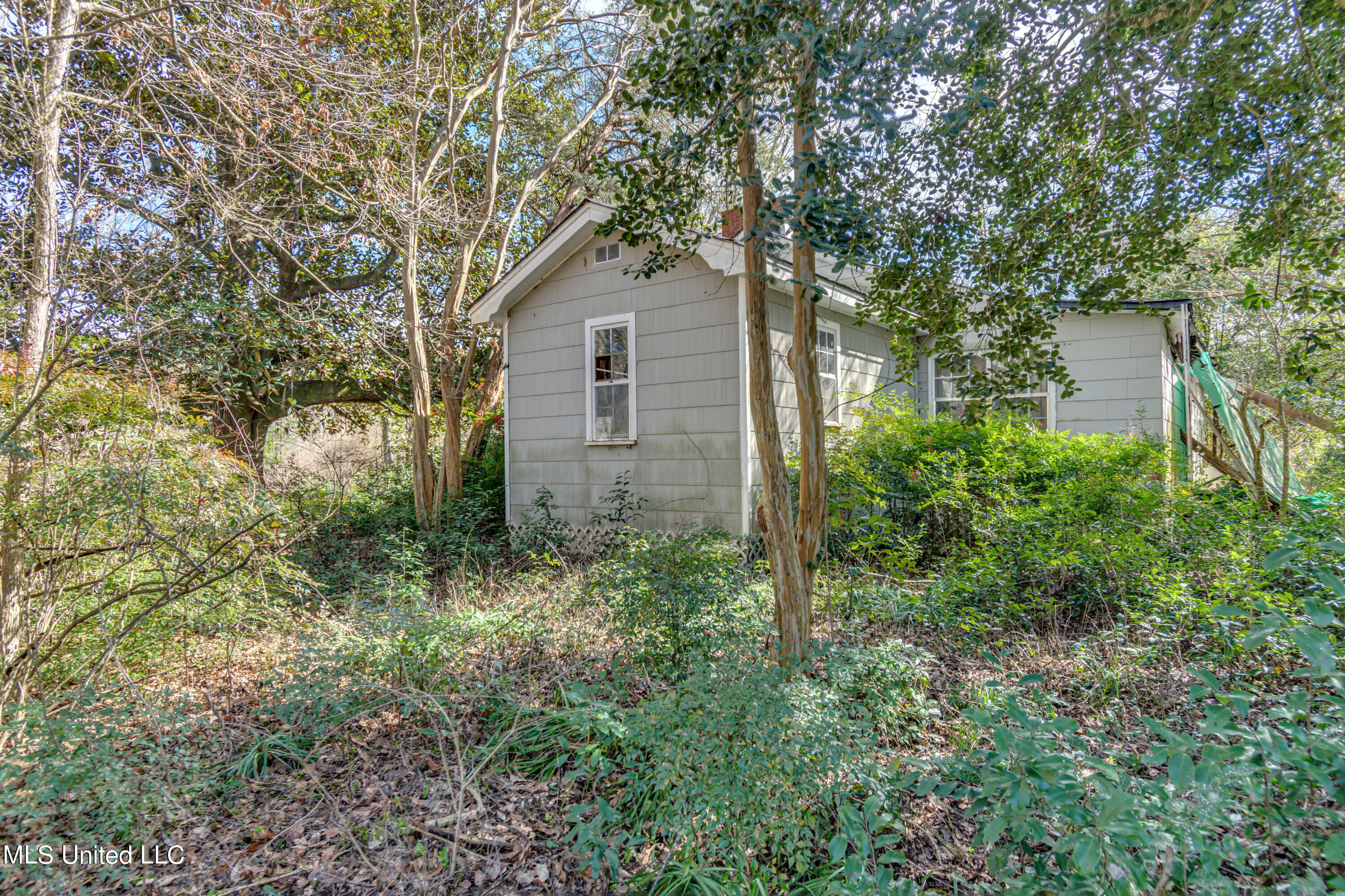 1125 Highway 481 Raleigh, MS 39153 - Photo 7 of 31 ROG_0091- 1125 Ms 481