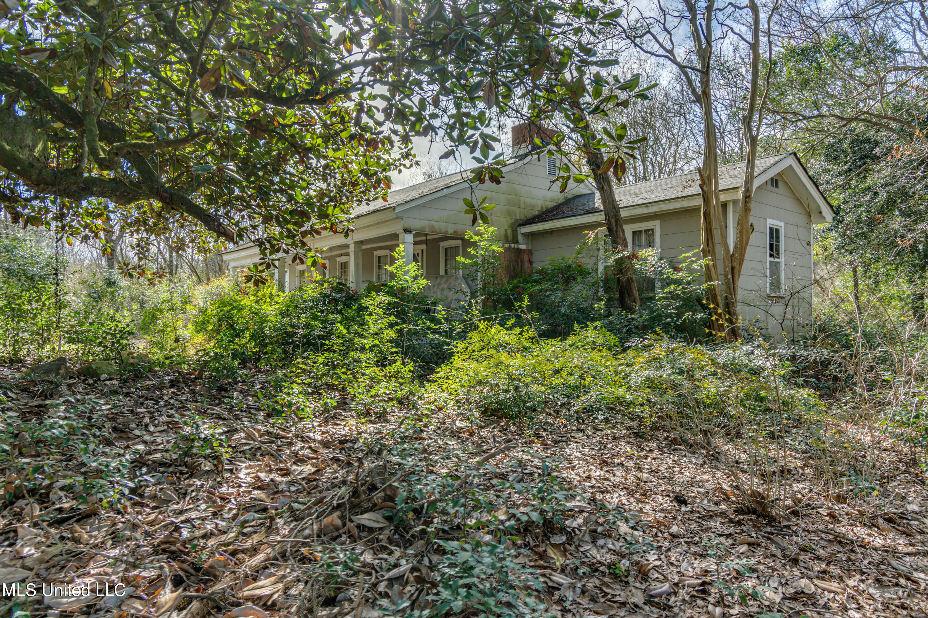 1125 Highway 481 Raleigh, MS 39153 - Photo 8 of 31 ROG_0082- 1125 Ms 481